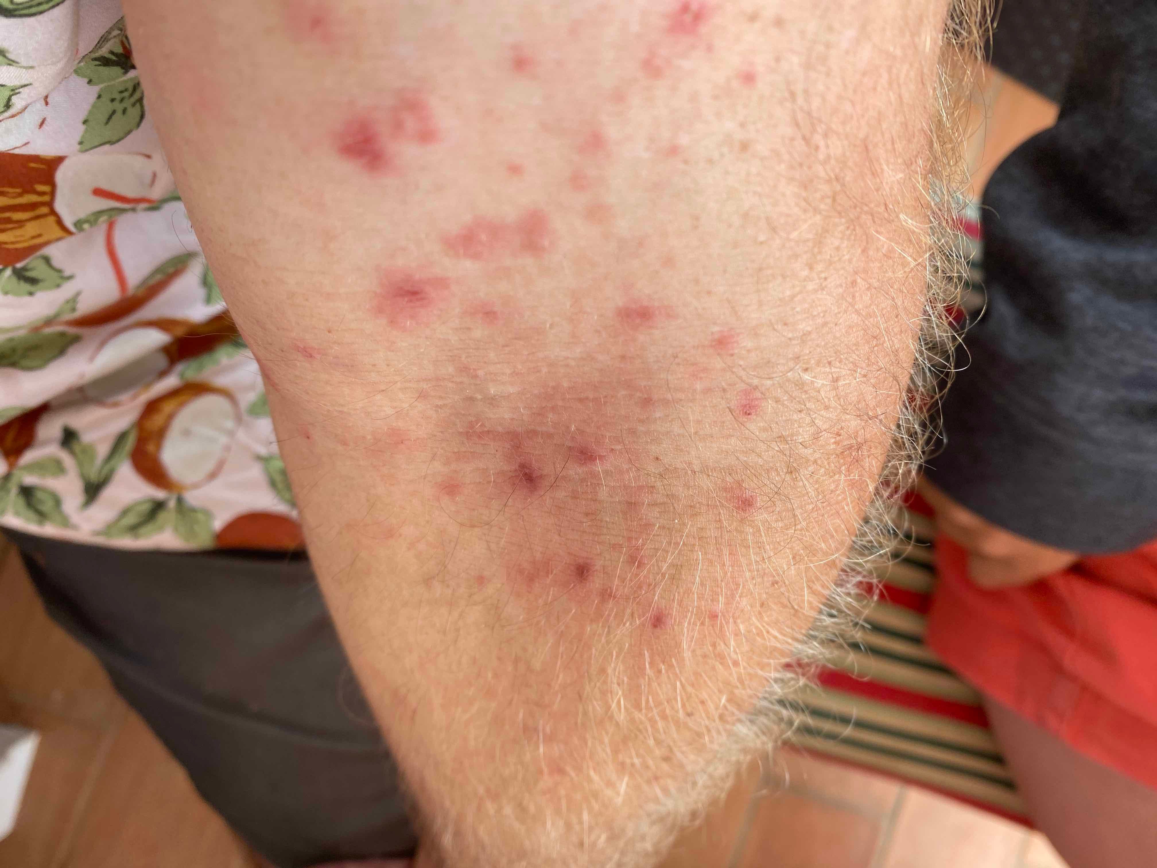 Off-grid and Ignorant in Portugal