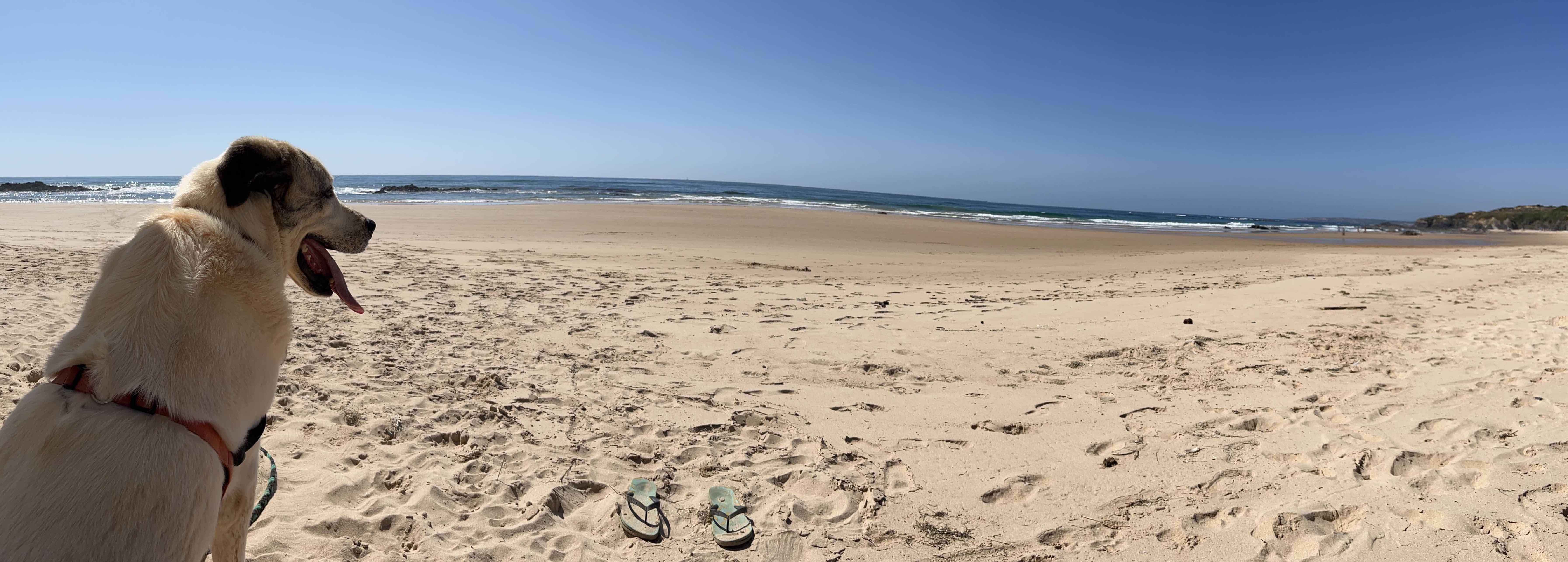 Off-grid and Ignorant in Portugal