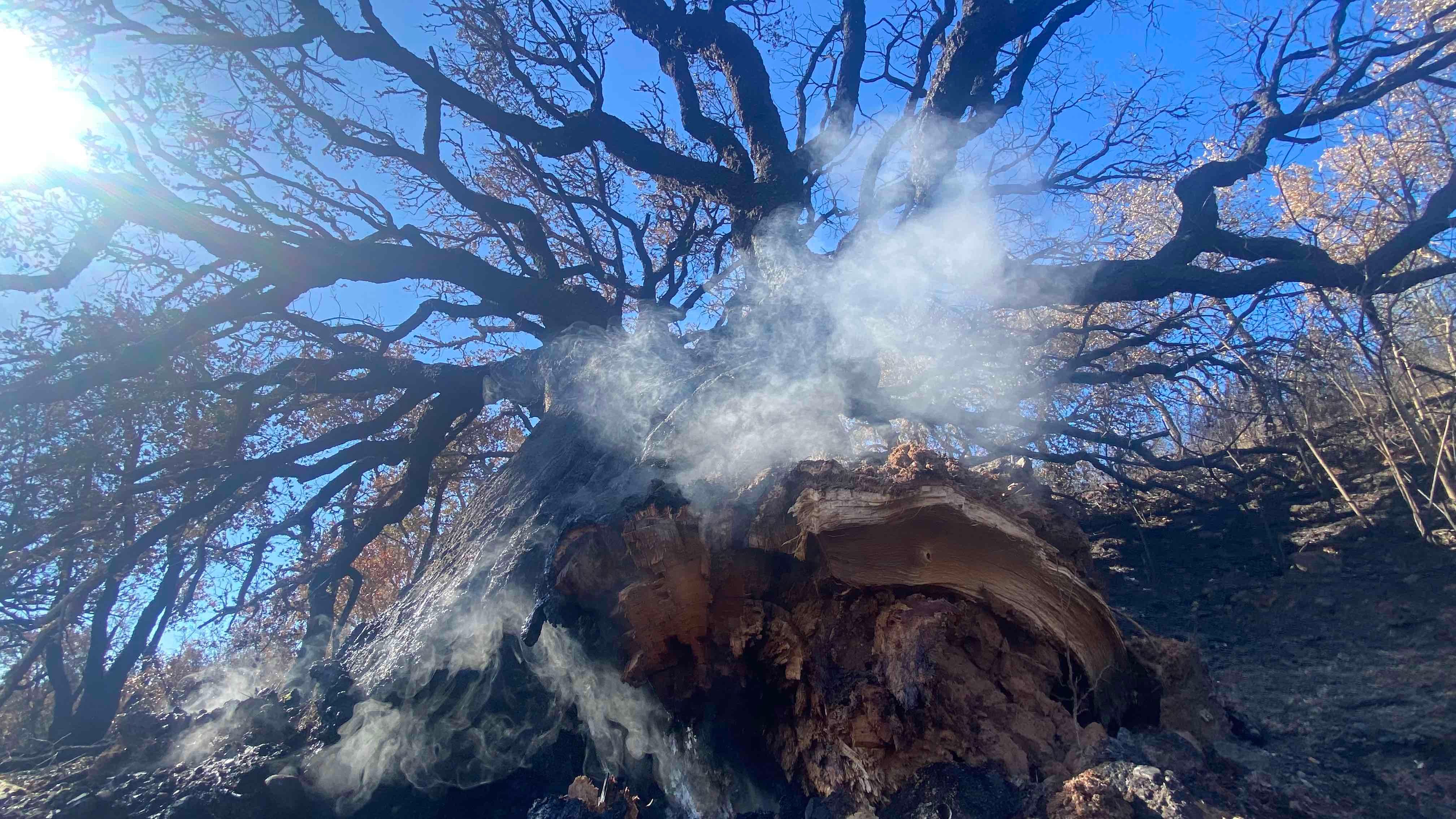 Off-grid and Ignorant in Portugal