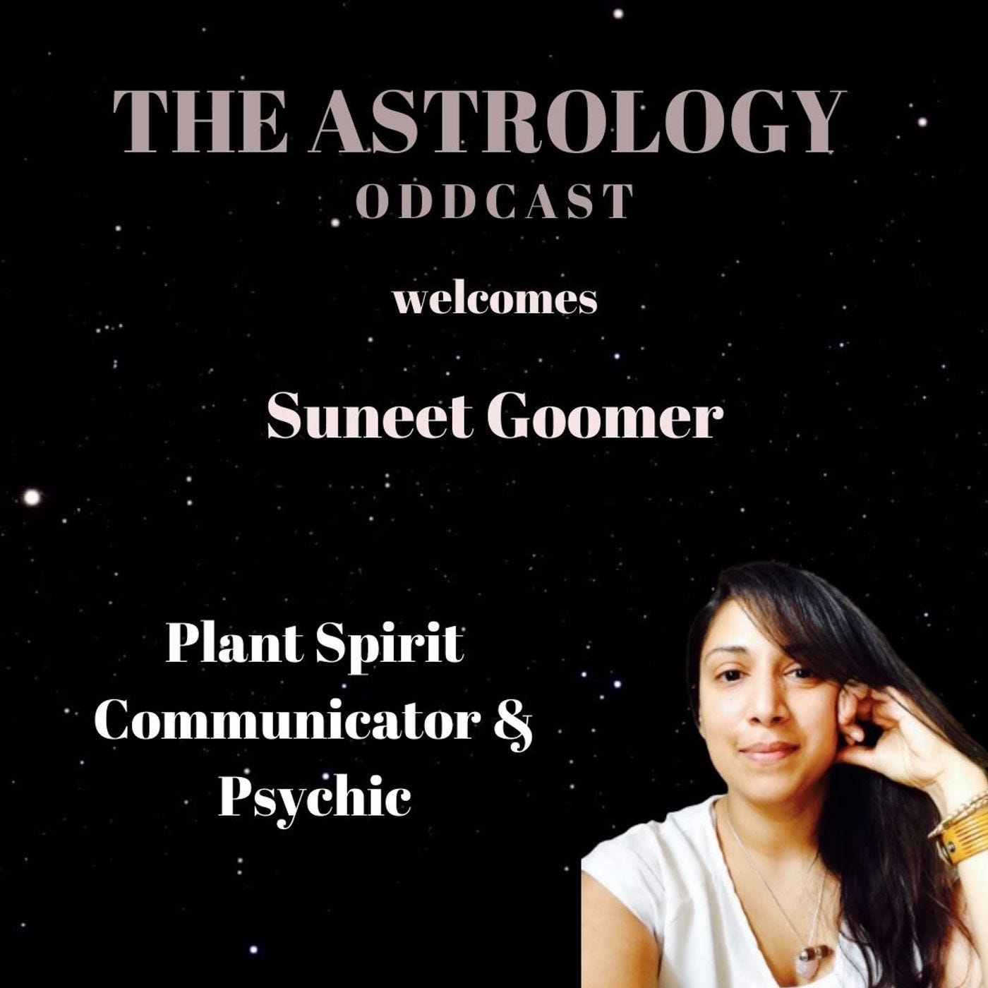 Suneet - The Psychic Who Told me I'd be an Astrologer