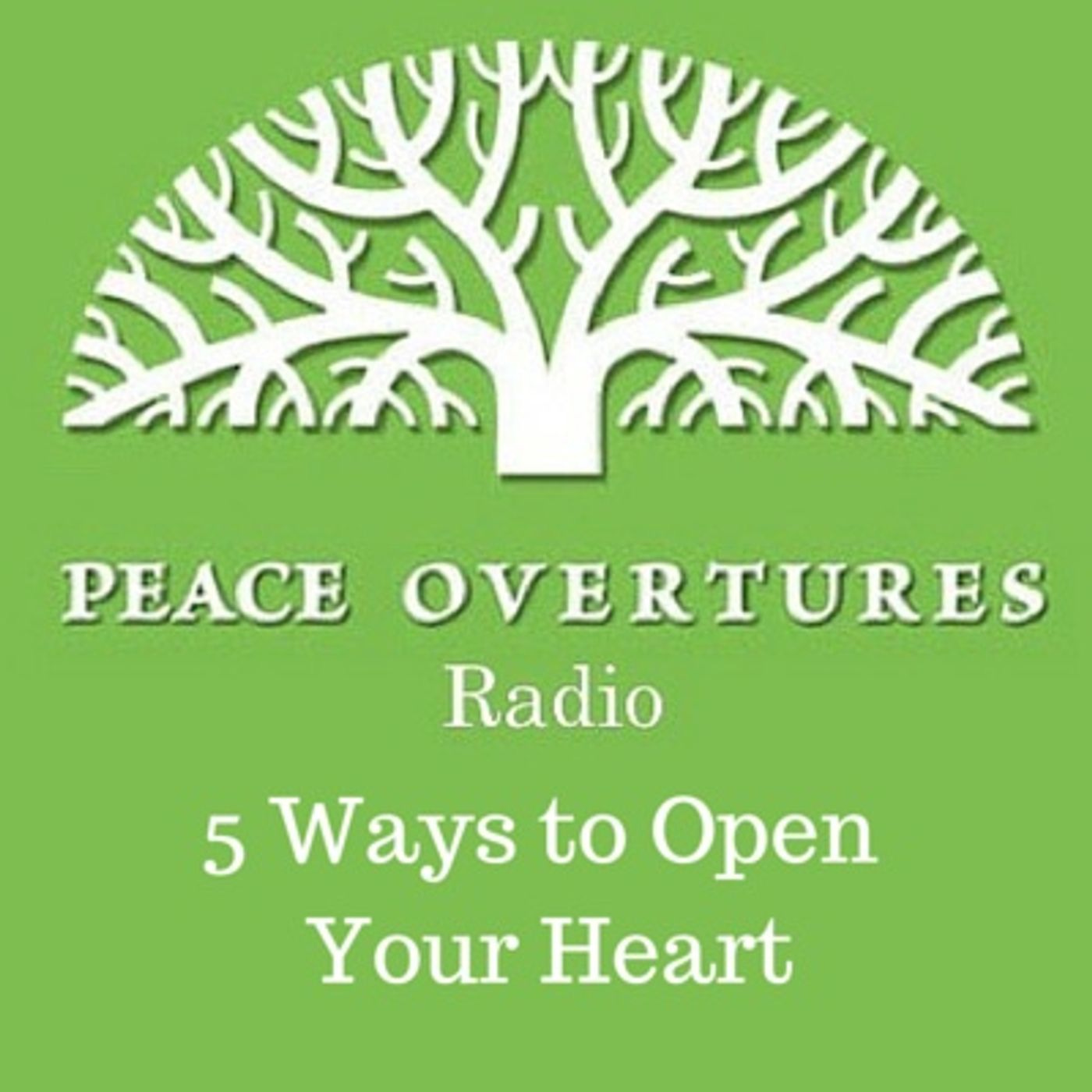 Peace Overtures Radio