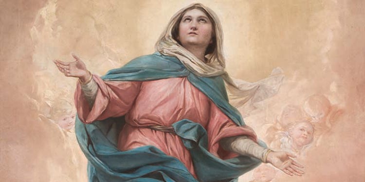 Solemnity of the Assumption Novena, Day 5 — Saint In Progress, Episode 35 episode artwork