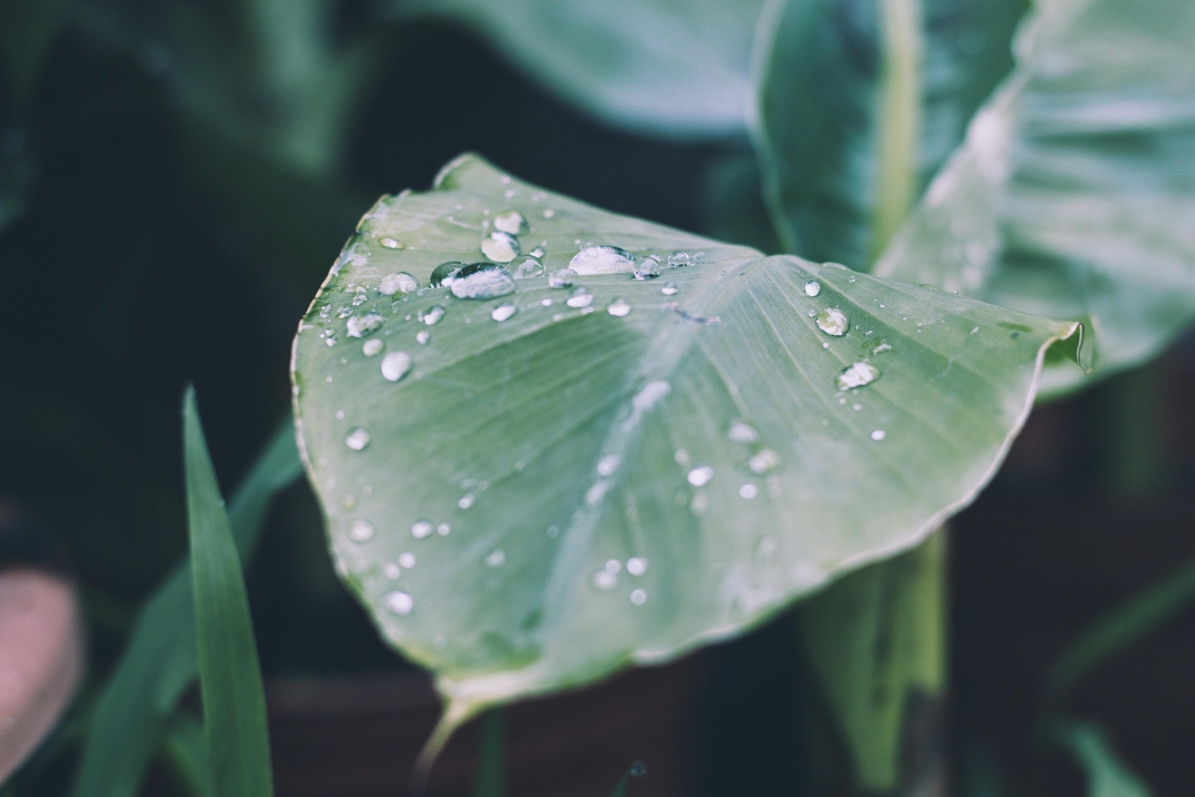 Feel Really Good: Empowering Meditations