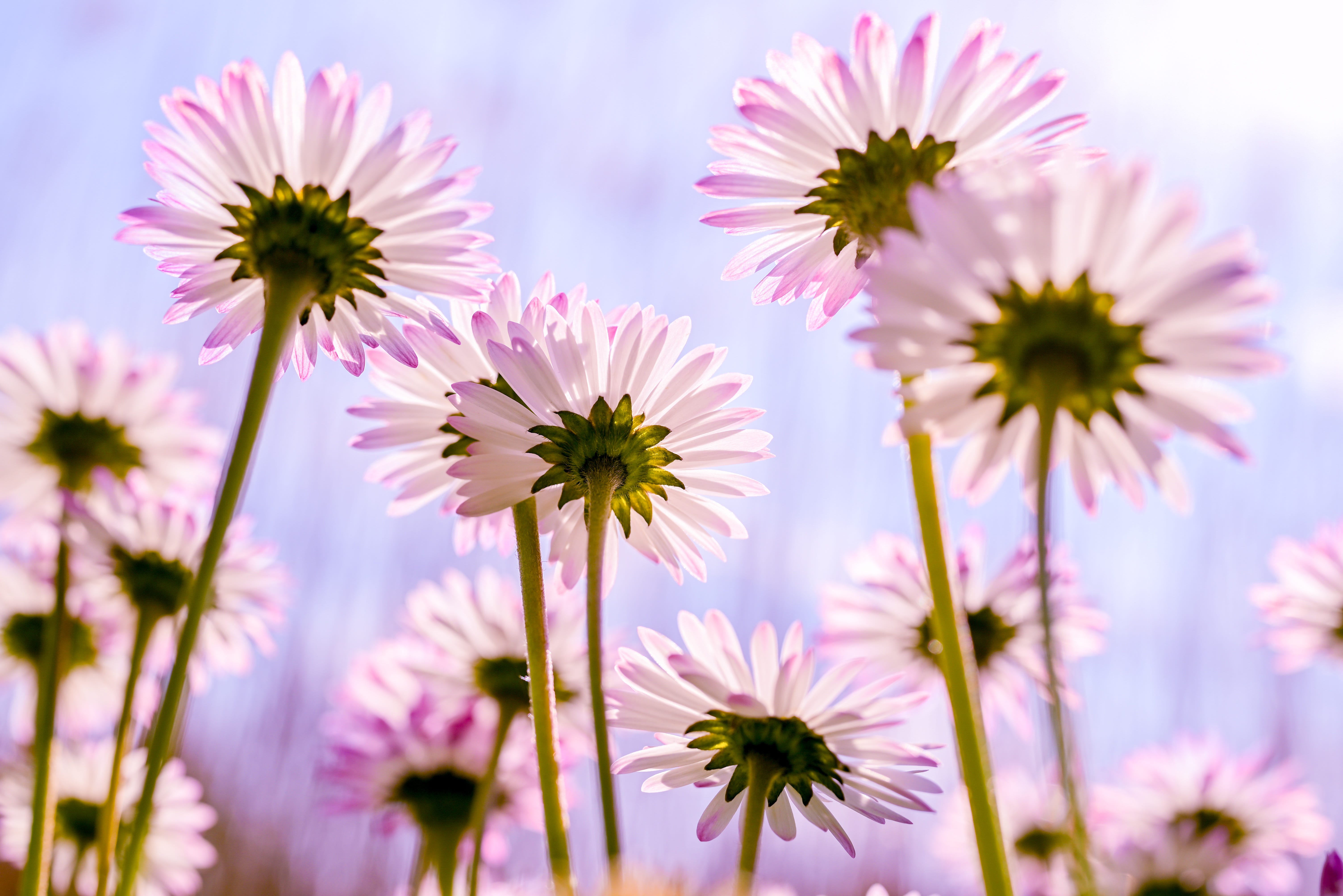 Feel Really Good: Empowering Meditations