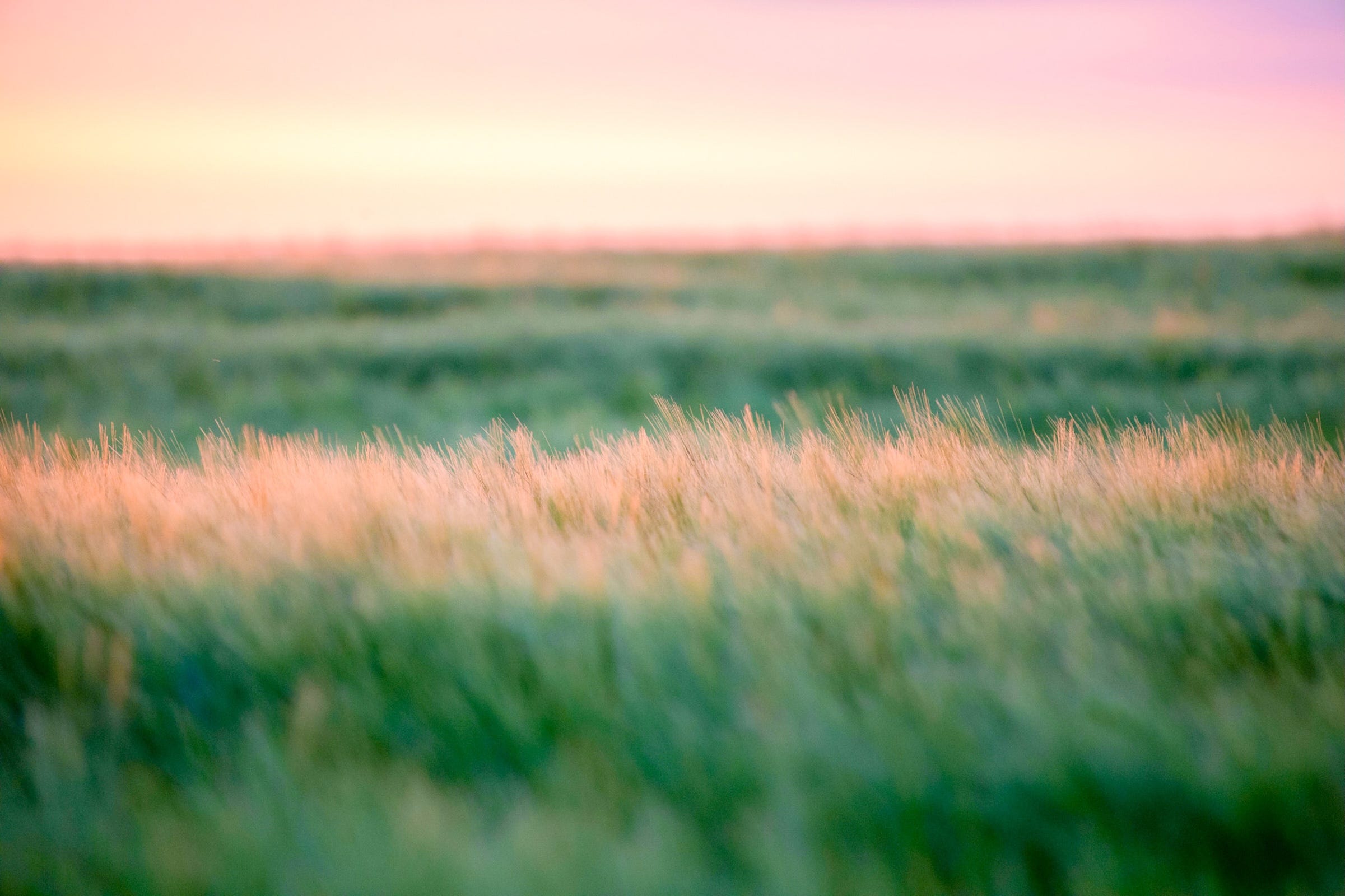 Feel Really Good: Empowering Meditations