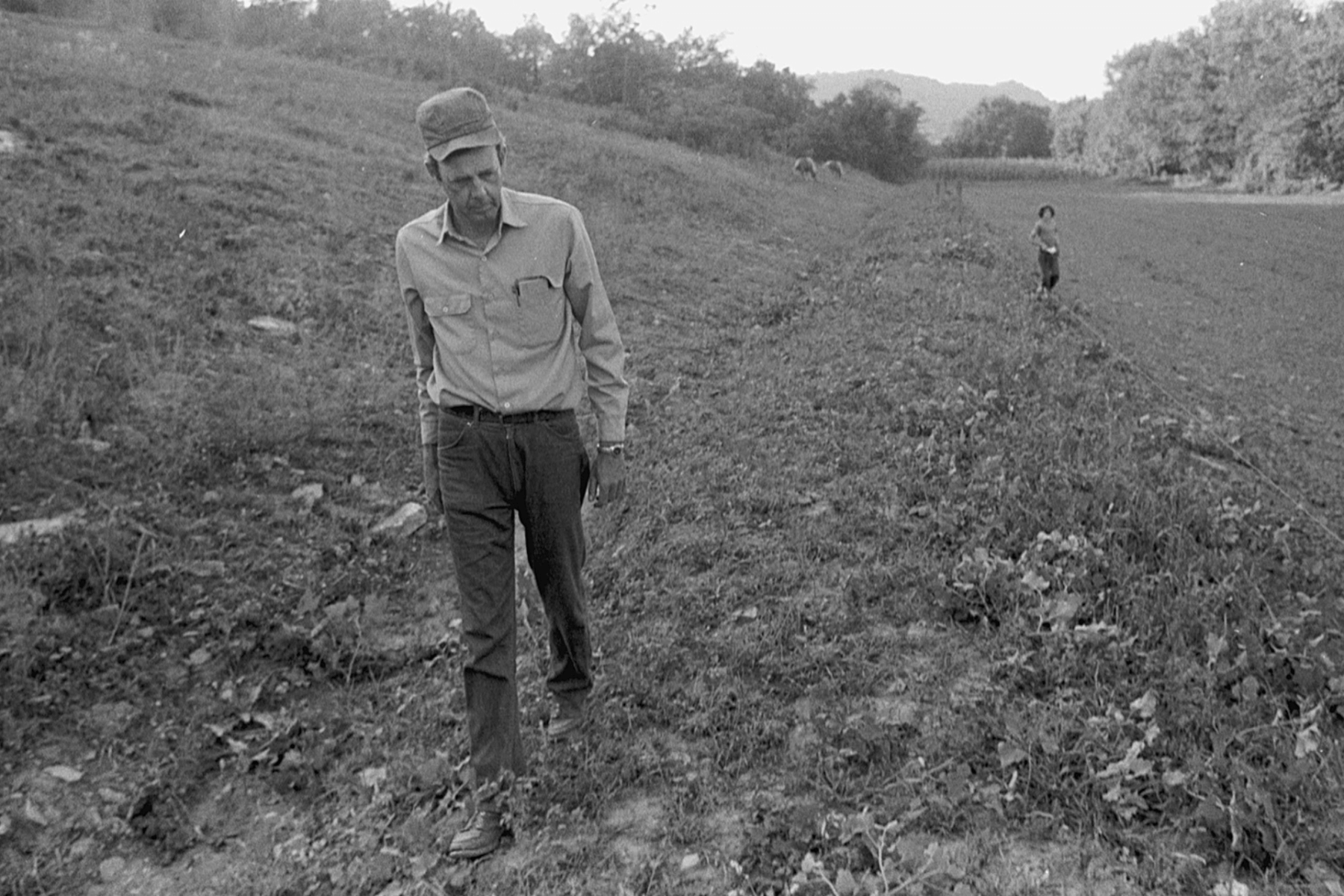 Wendell Berry's "Sabbath IV, 1996"