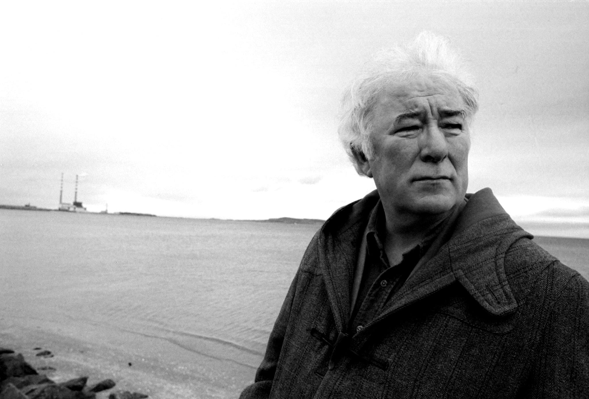 Seamus Heaney’s “Storm on the Island” Seamus Heaney’s “Storm on the Island”