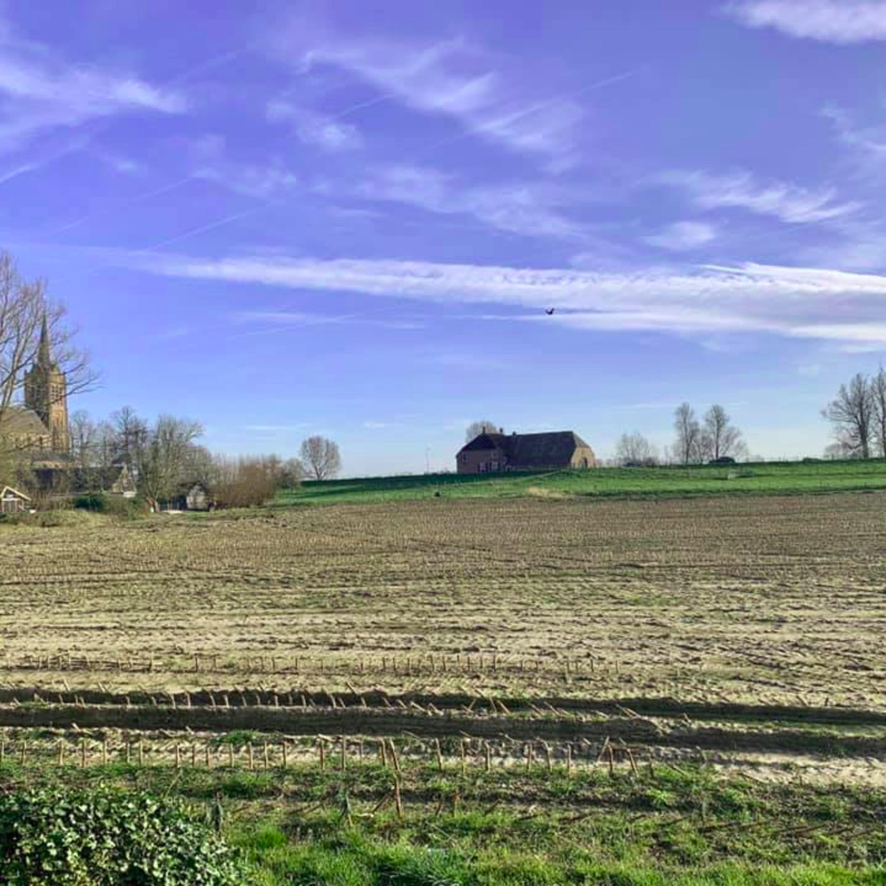 Podcast in tijden van Corona (6): Madeleine Matzer over terugkeren naar de fabrieksinstellingen. episode artwork
