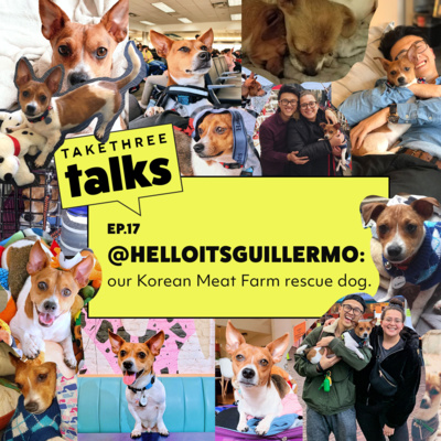 Part 1/2 | @helloitsguillermo: our Korean Meat Farm Rescue dog. | Ep. 17