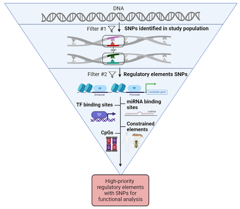 Weekly Recap (Dec 2024, part 1)