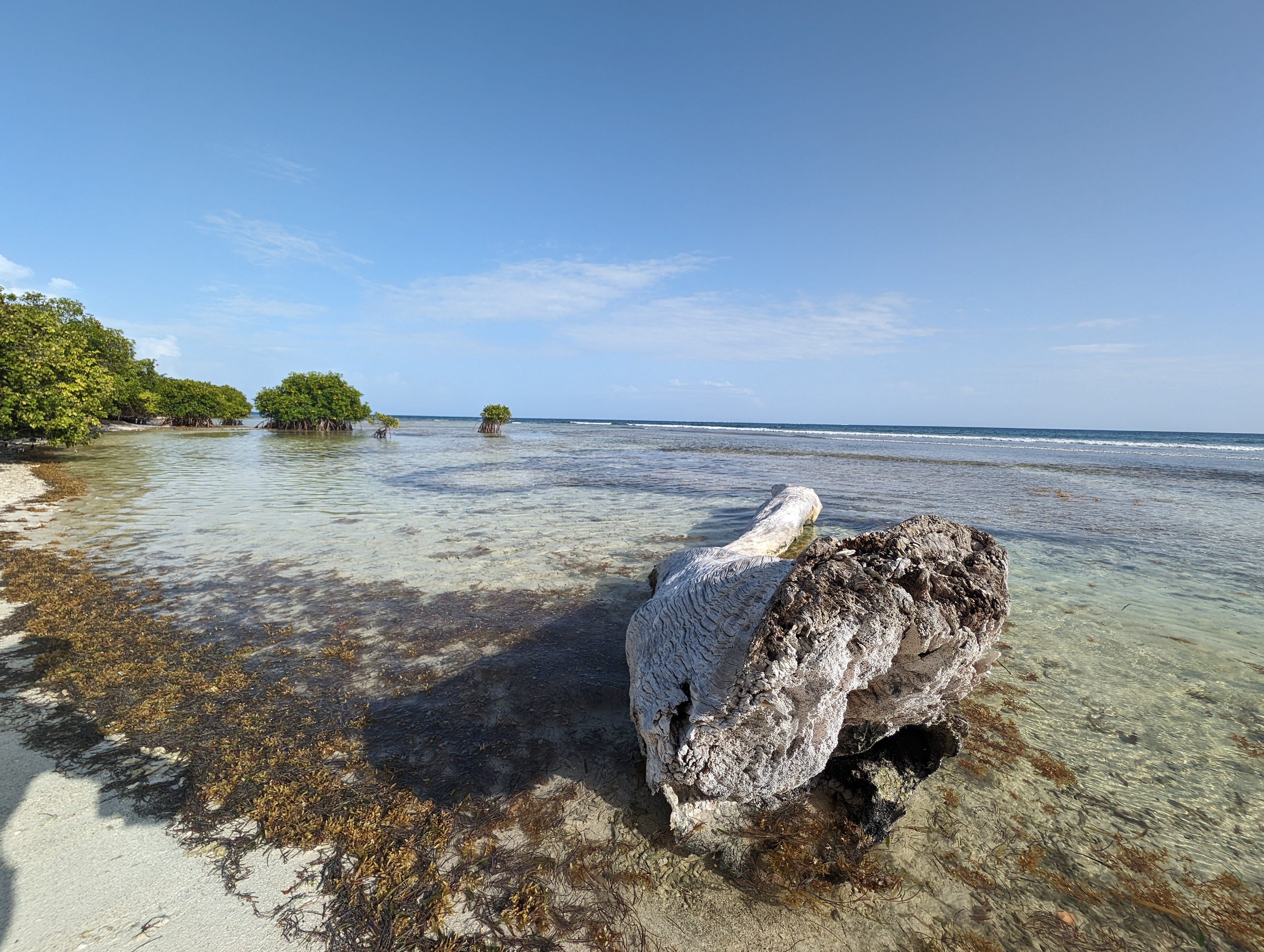 Elliott Confidential Podcast