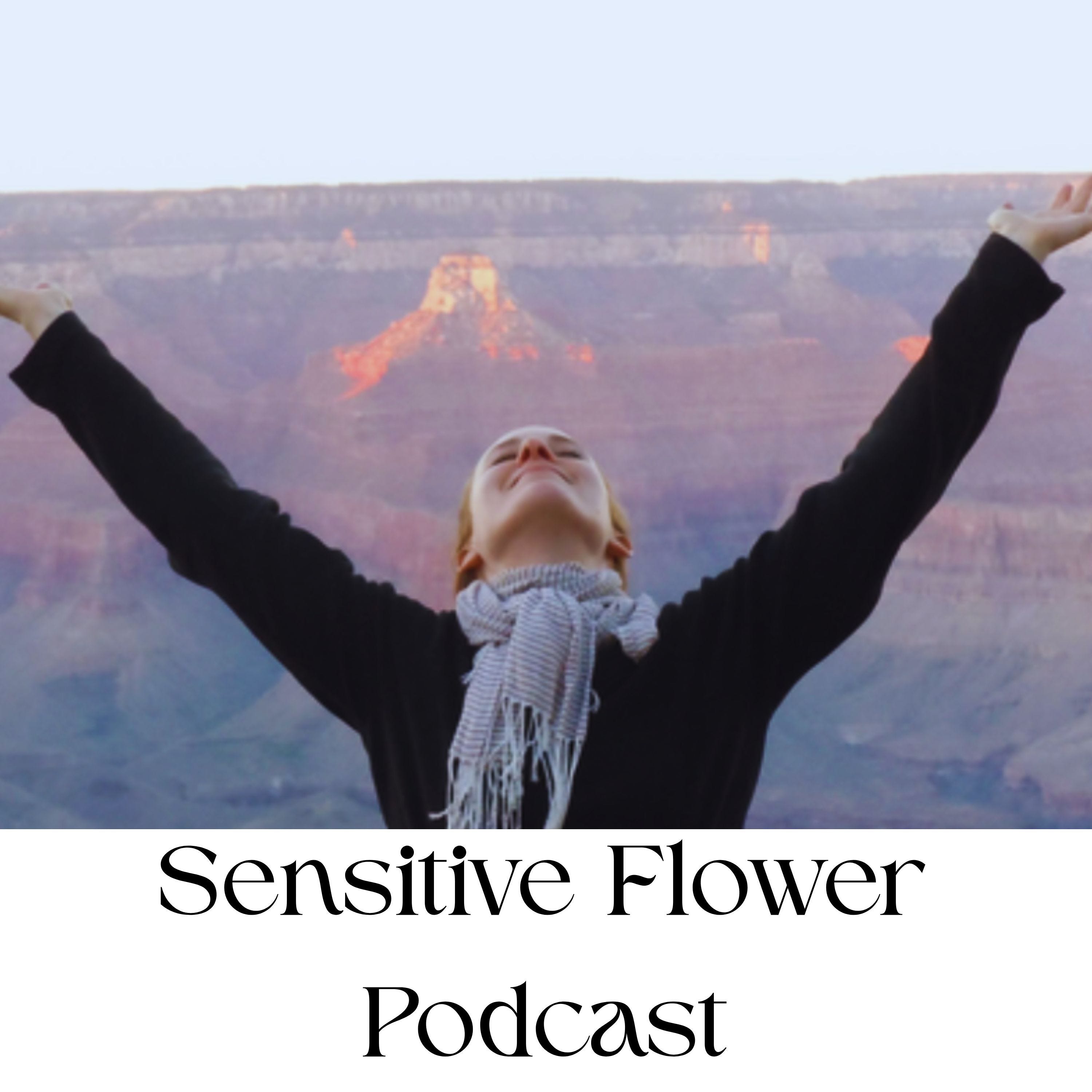 The 5 Senses for a Sensitive episode artwork