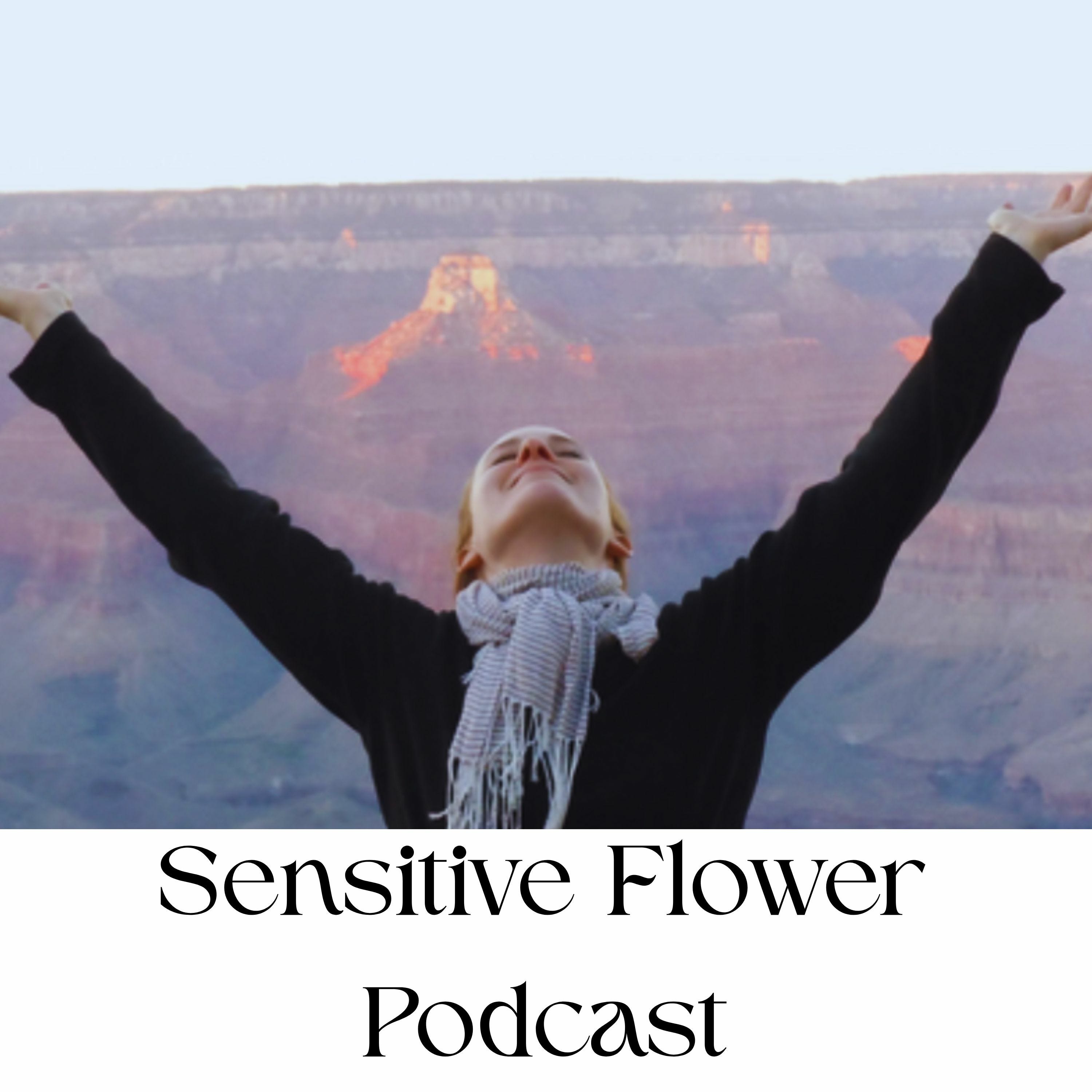 Ep. 27: Are You a Clairsentient?  episode artwork