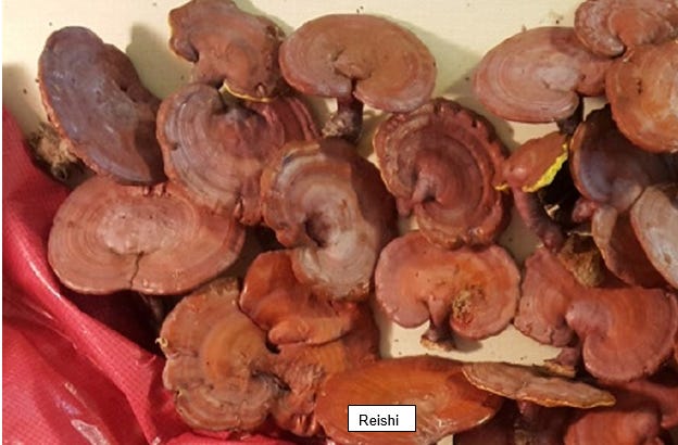 Abomination Goddess Podcast