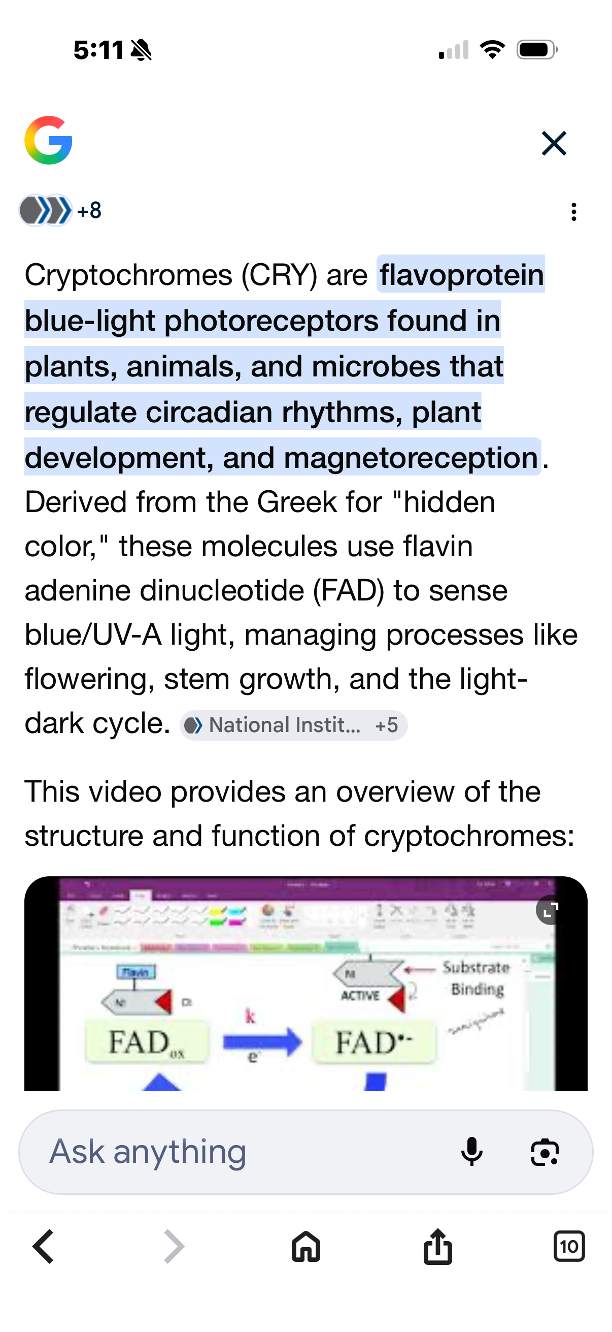 Abomination Goddess Podcast