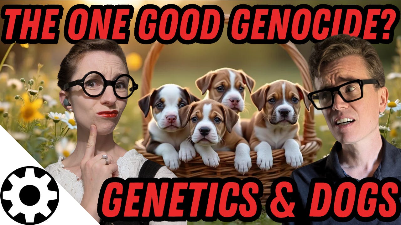 Genetics, Dogs, & Pit Bulls: The One Good Genocide