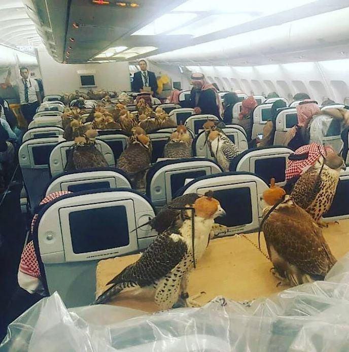 Gulf States Reveal How Post-Scarcity Luxury Melts Your Brain Gulf States Reveal How Post-Scarcity Luxury Melts Your Brain