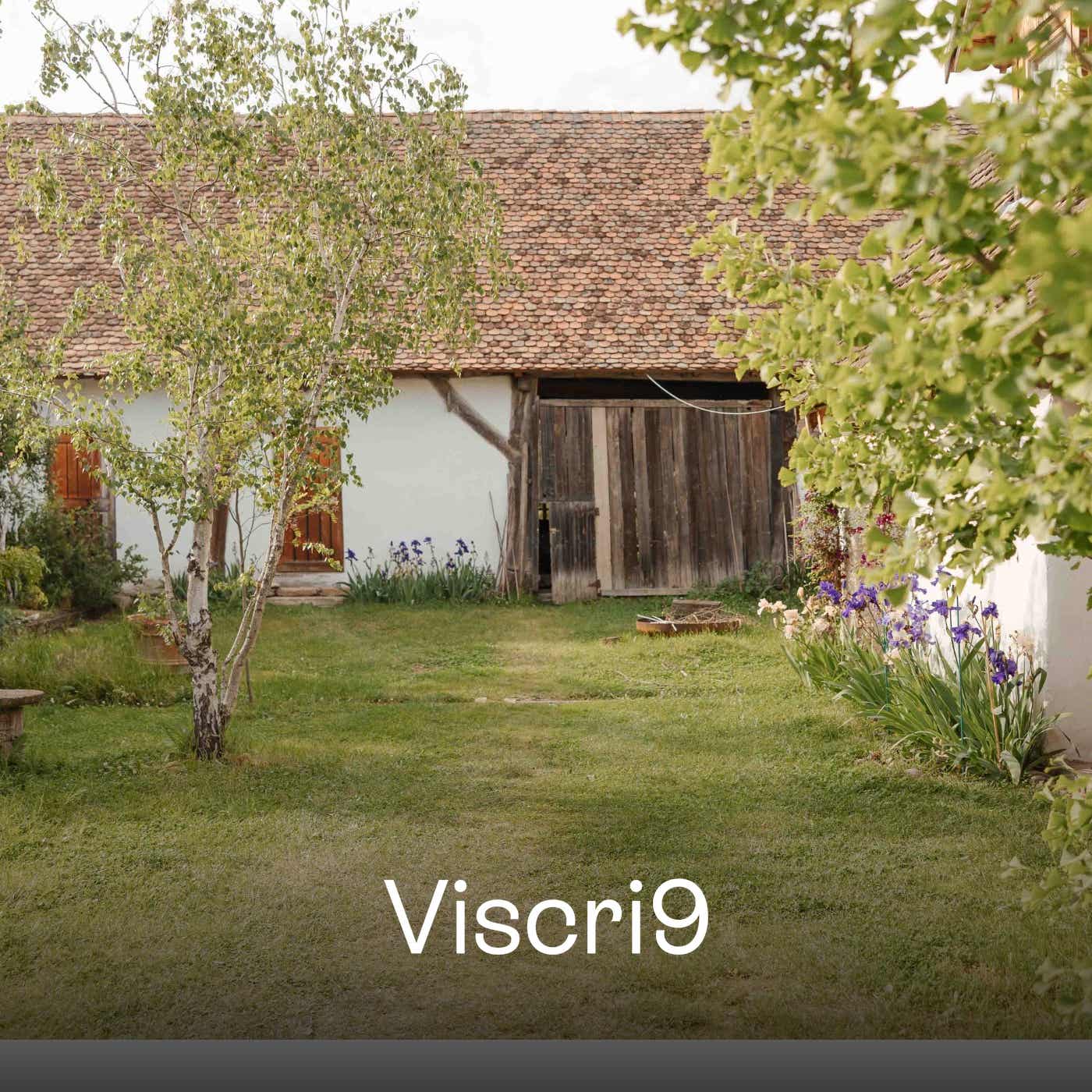 Viscri 9