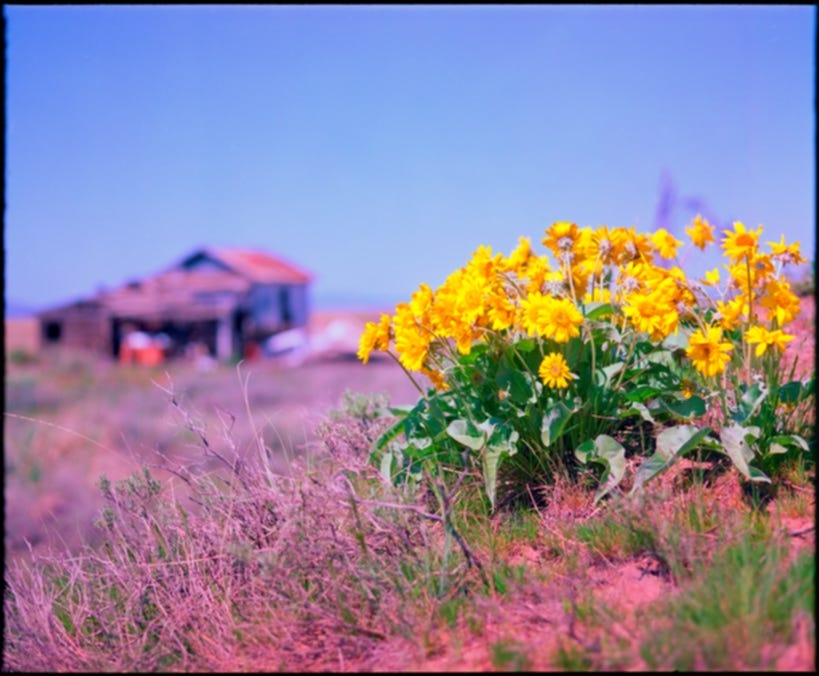 The Importance of Solitude (And the Postal Service)