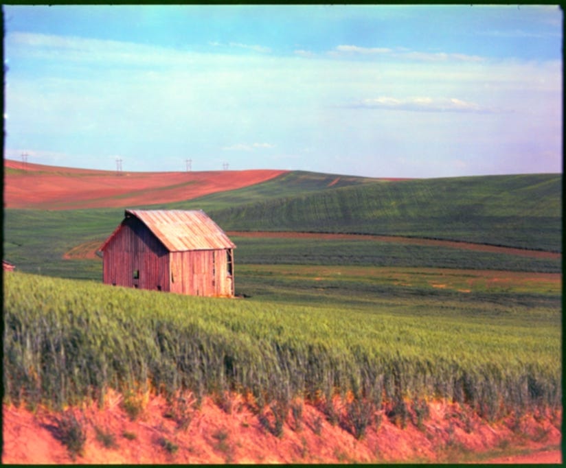 Don't Shoot, Just Think!