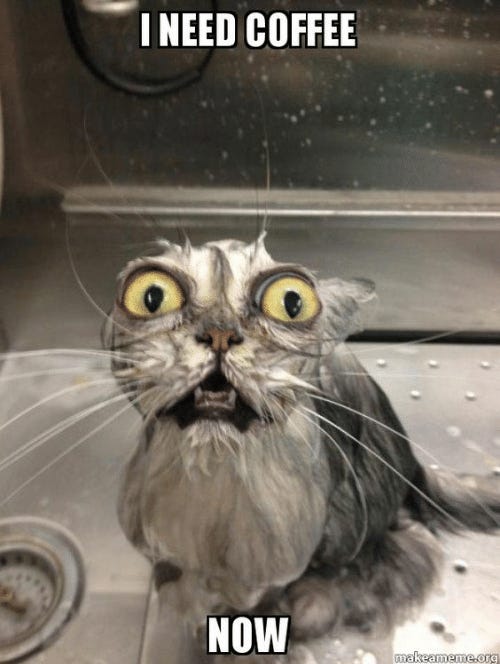 Bonus Podcast: follow up to my AI post from this morning.