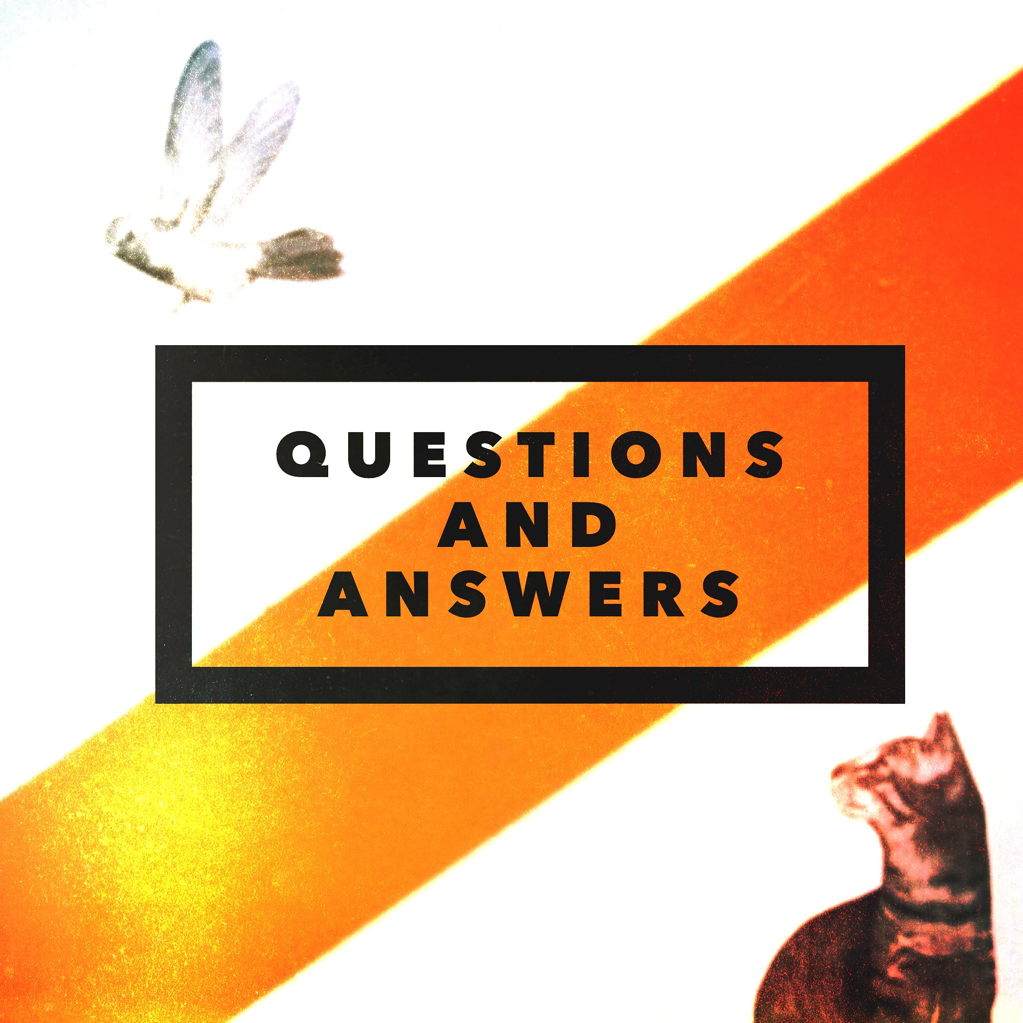 Questions And Answers: Student Panel episode artwork