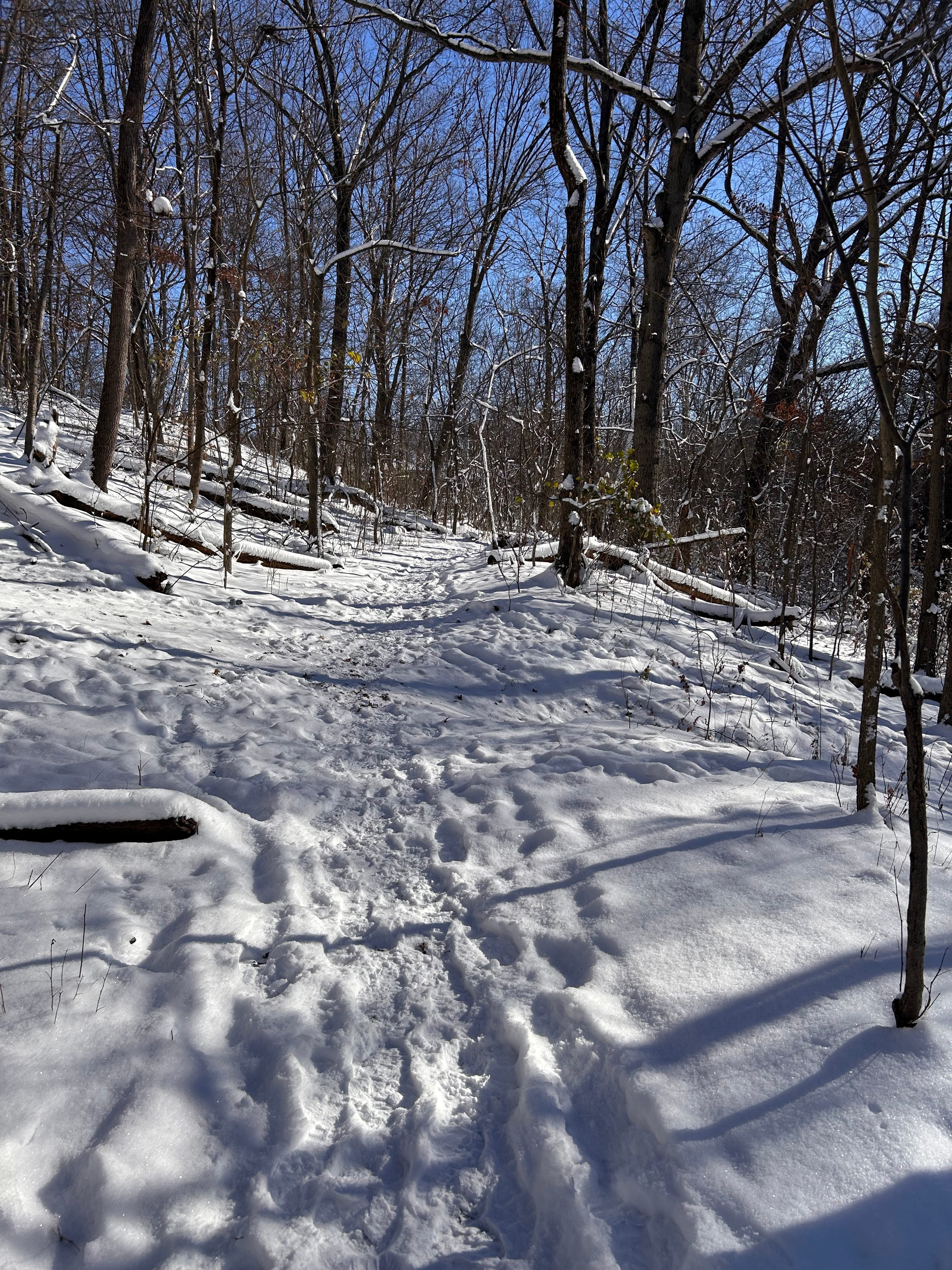 Faith, Heart and the Return of the Light