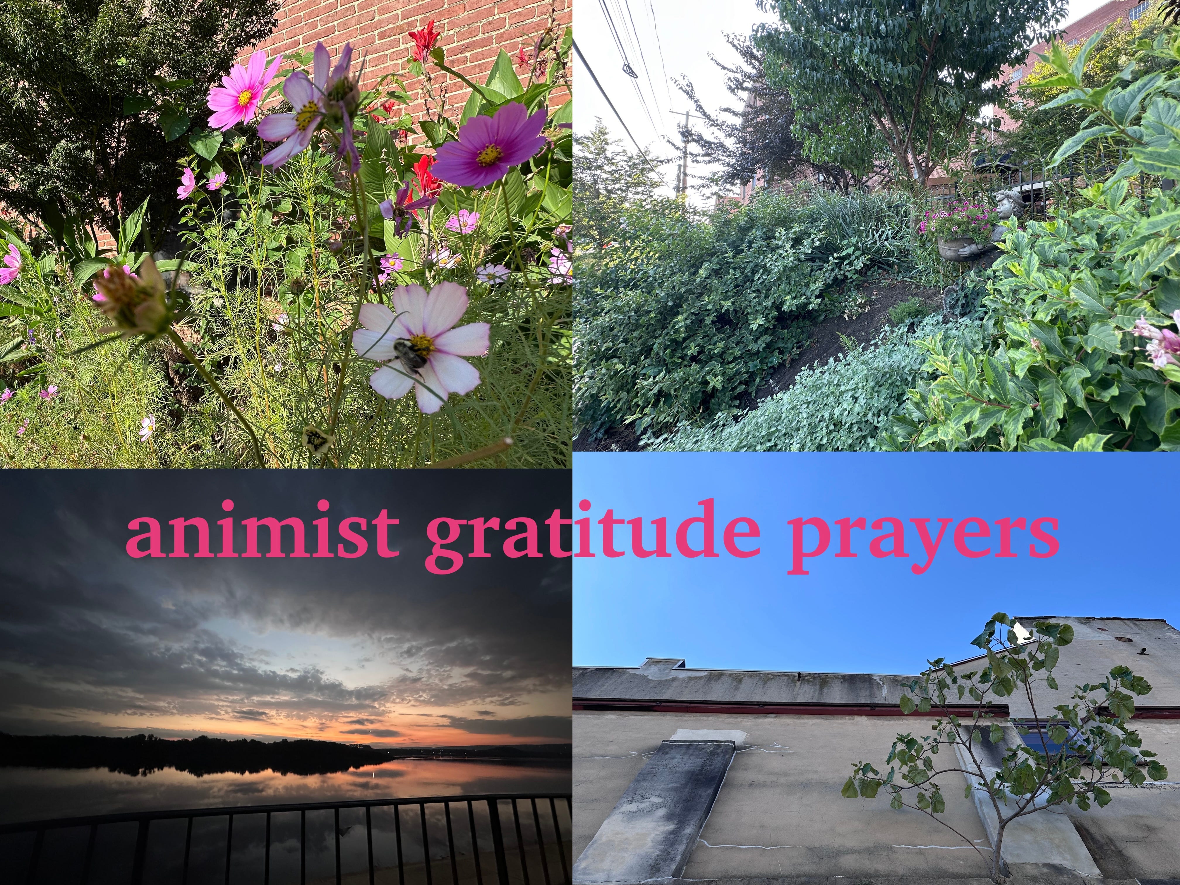 Animist Gratitude Prayers episode artwork