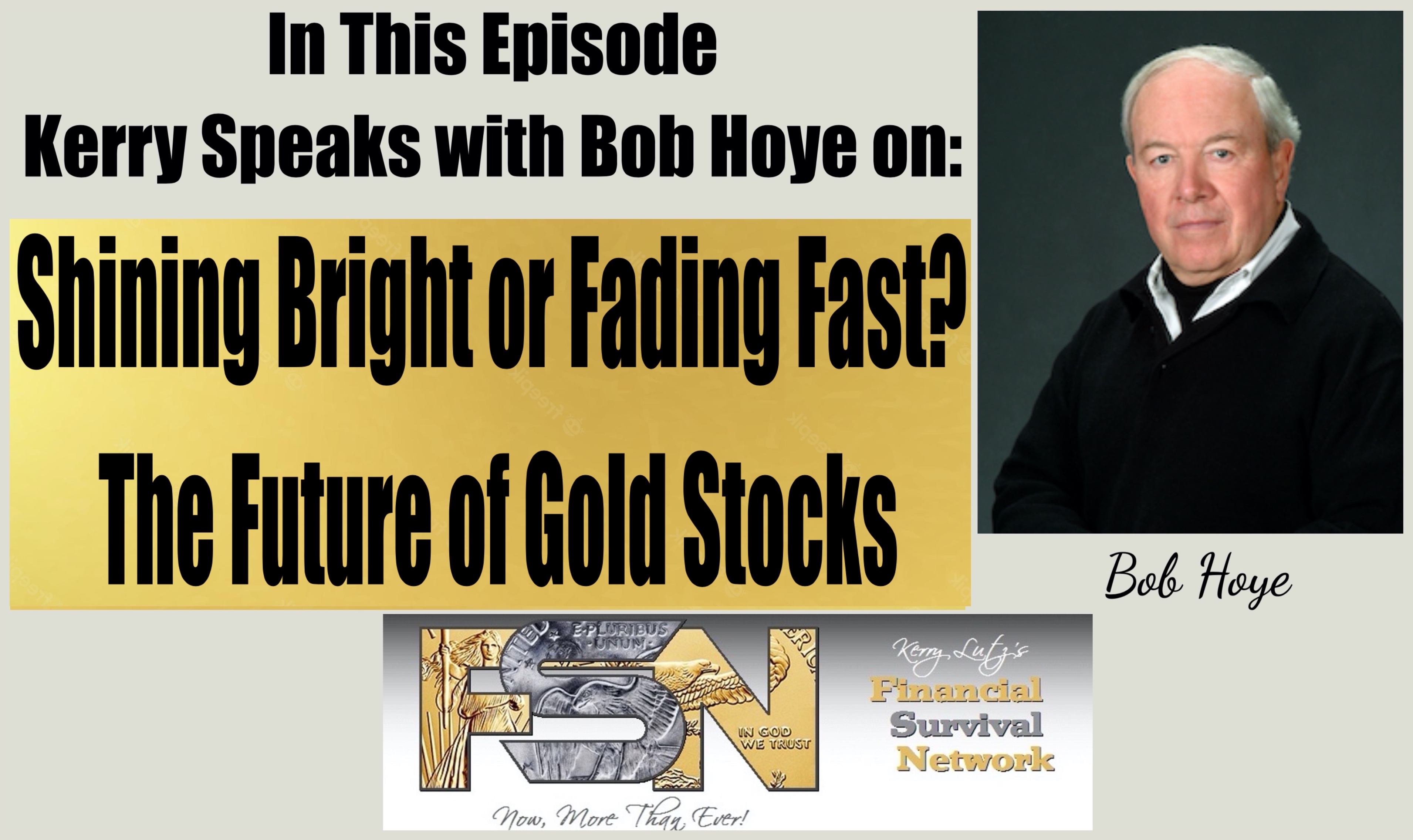 Shining Bright or Fading Fast? The Future of Gold Stocks - Bob Hoye #6121