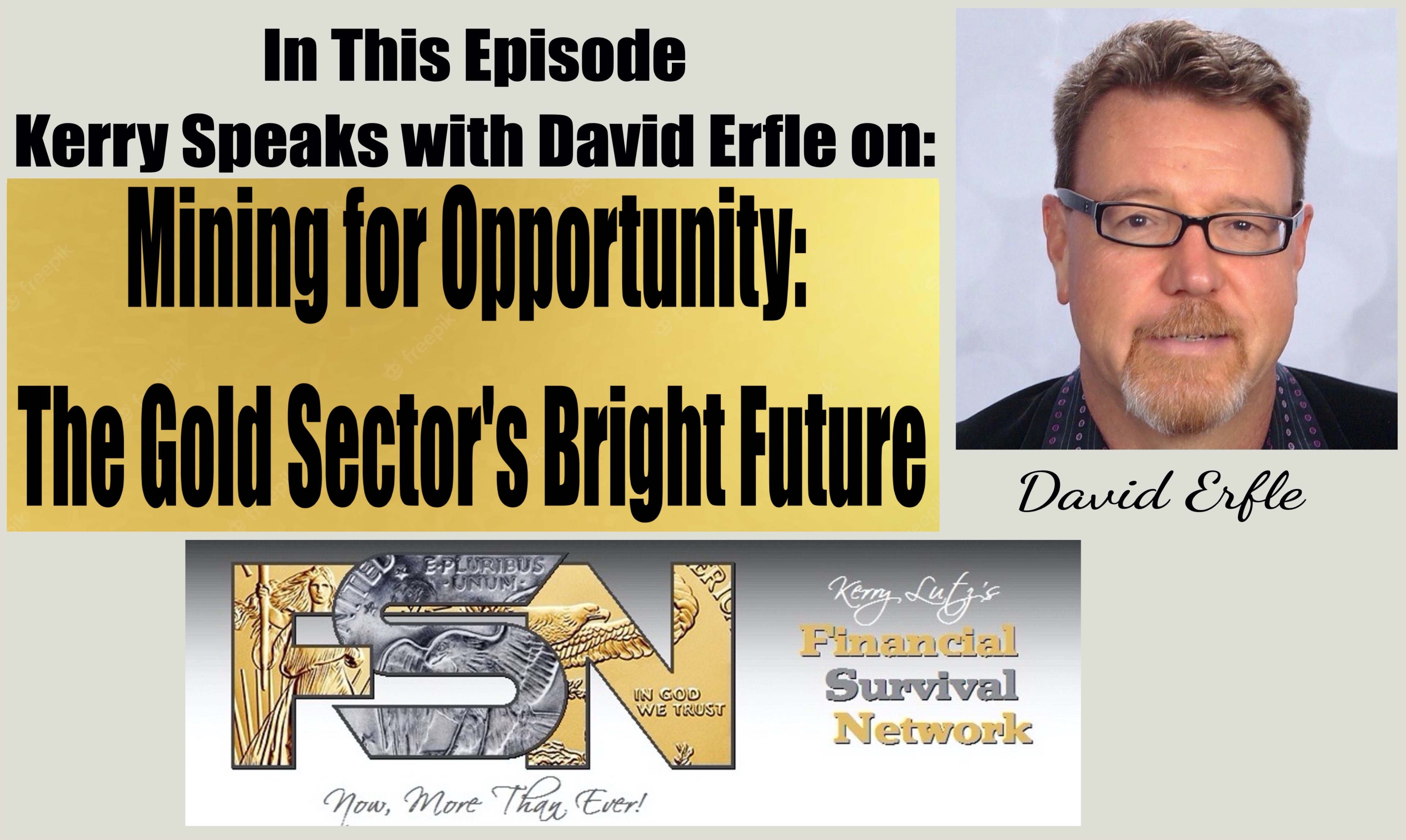 Mining for Opportunity: The Gold Sector's Bright Future - David Erfle #6110