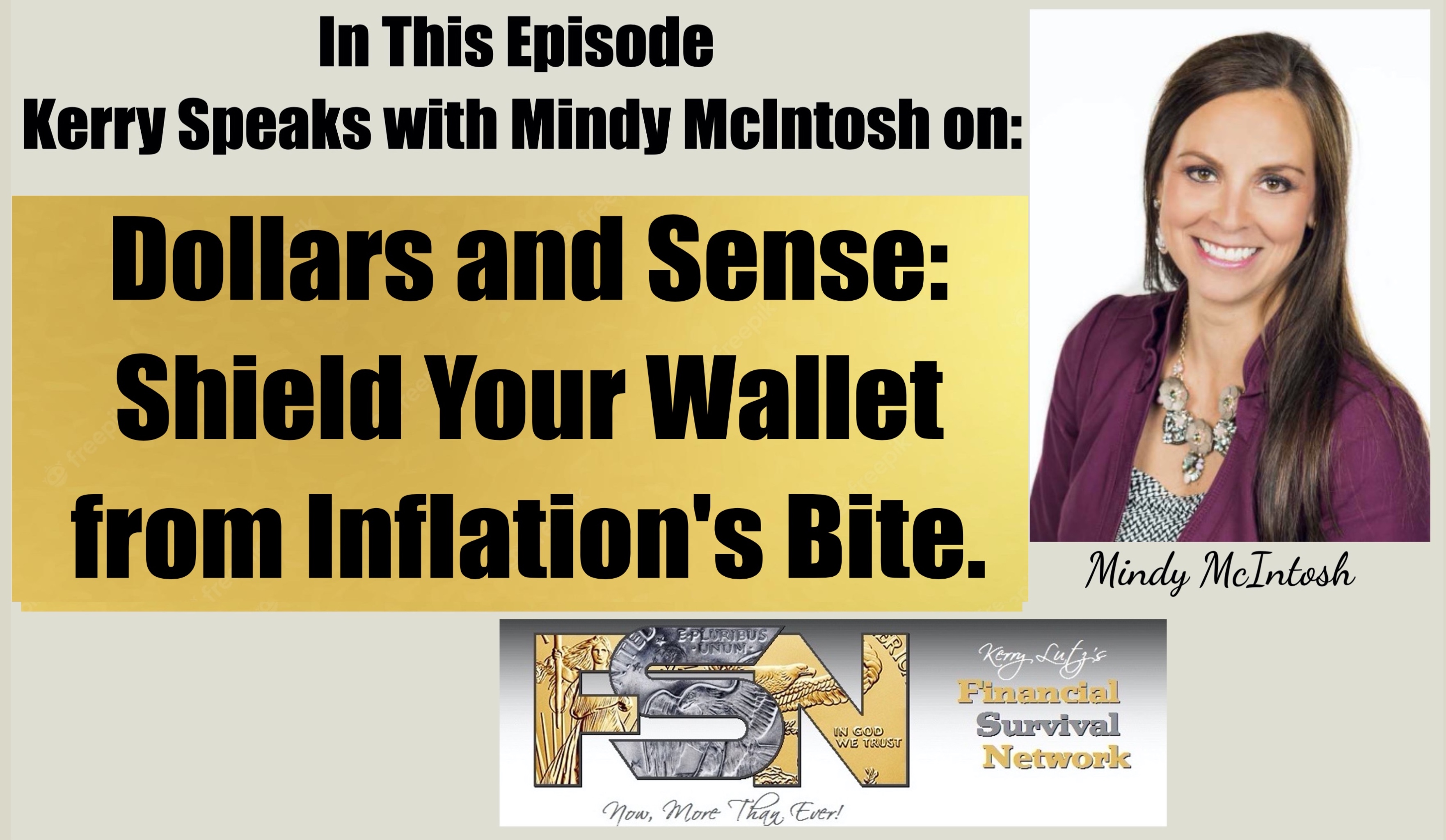 Dollars and Sense: Shield Your Wallet from Inflation's Bite - Mindy McIntosh #6053