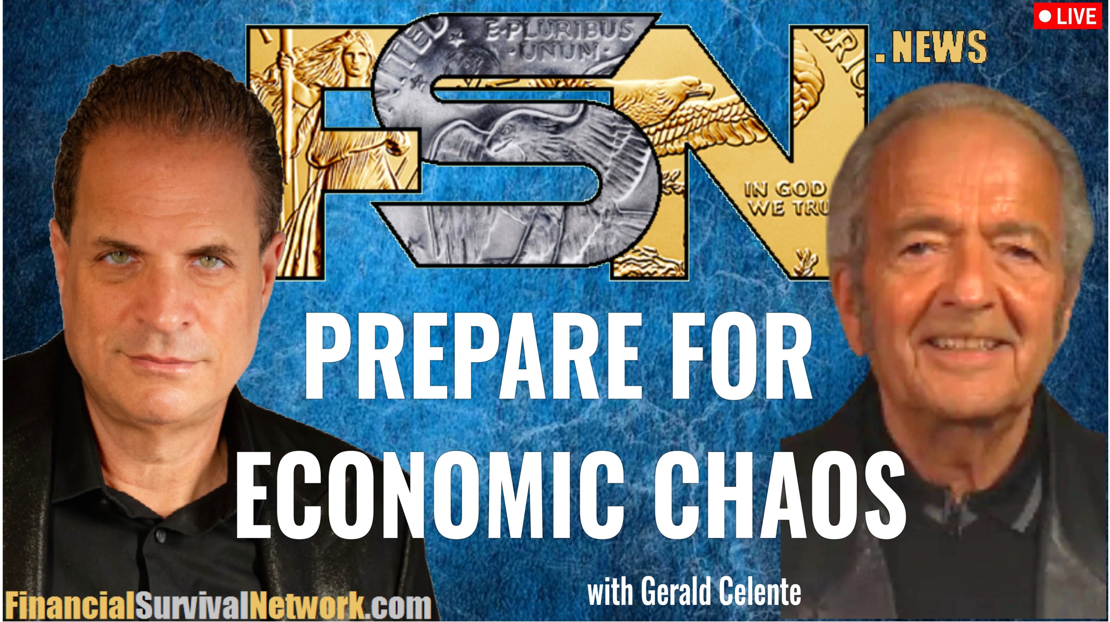Prepare For Economic Chaos -  Gerald Celente  episode artwork