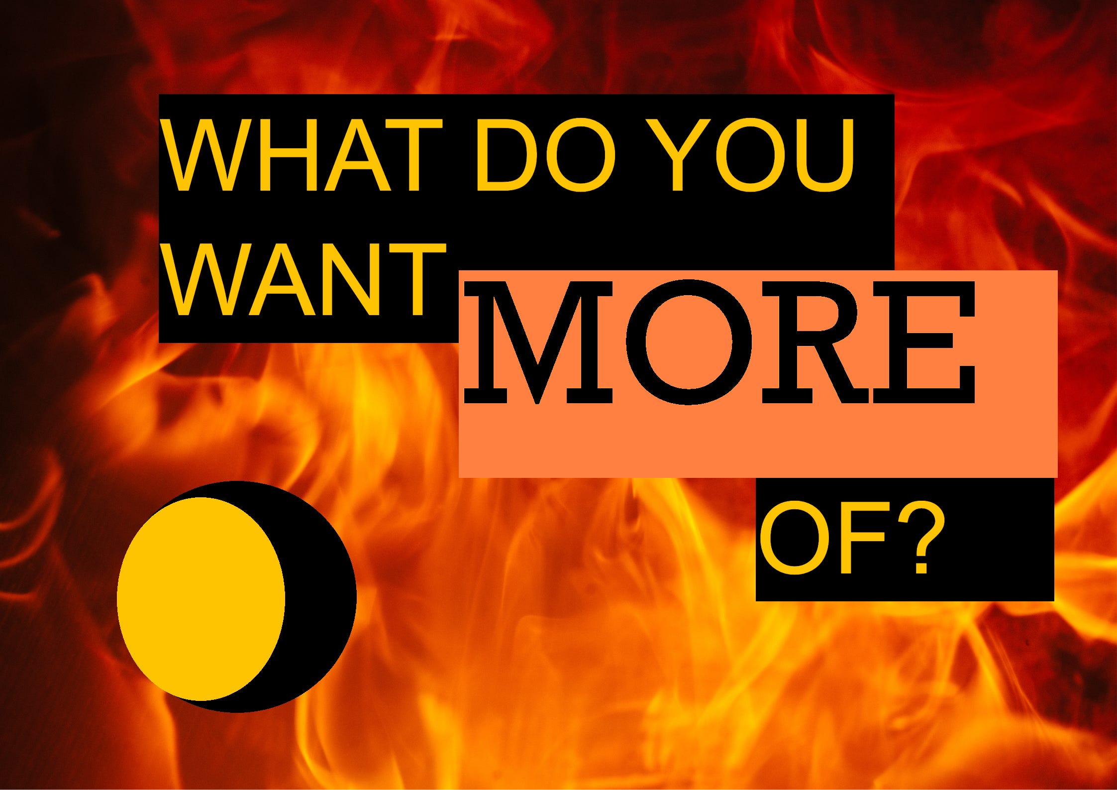 🌖 What Do You Want MORE of?