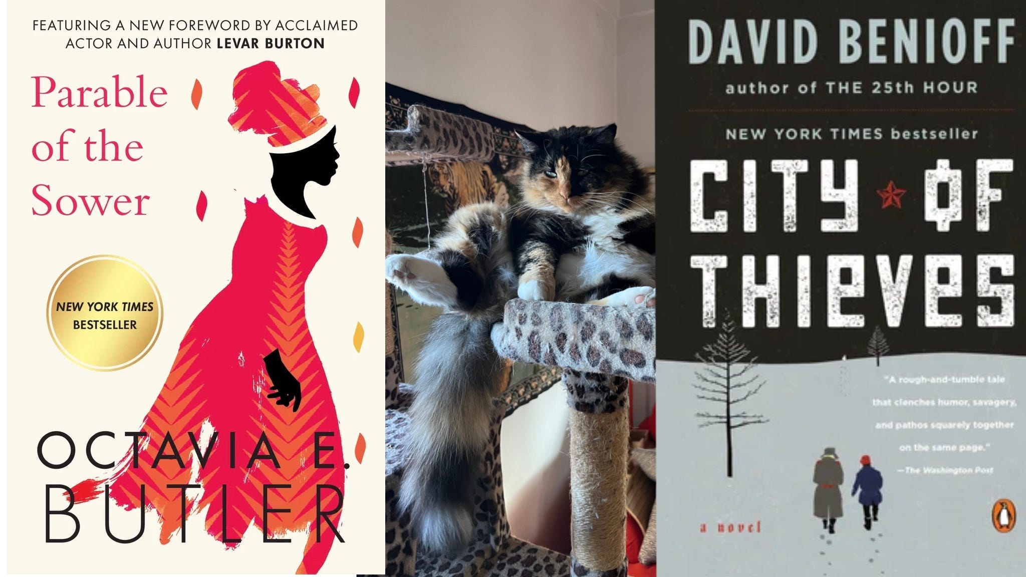 Reading Like a Normal Person