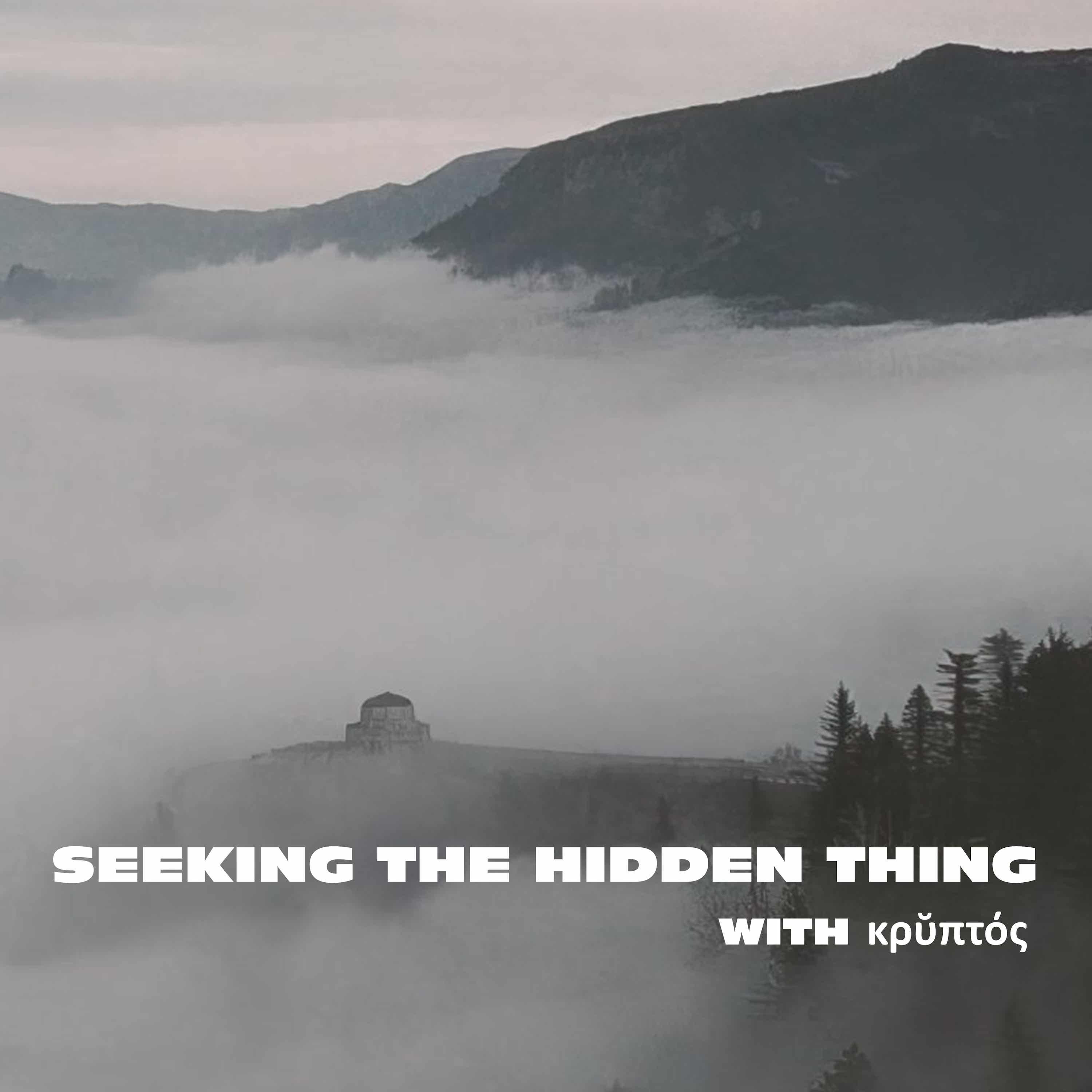 Seeking the Hidden Thing Podcast