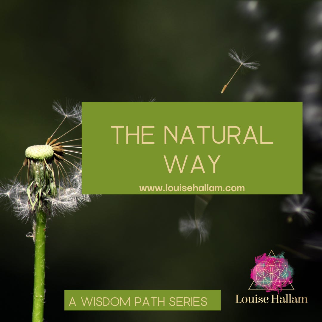 The Natural Way Podcast Series Season #1:1 Winter - Wild Primrose