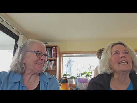 Teri\'s Doing It! Podcast