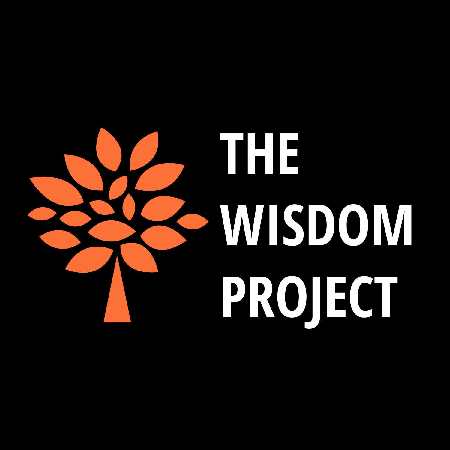 The Wisdom Project cover art