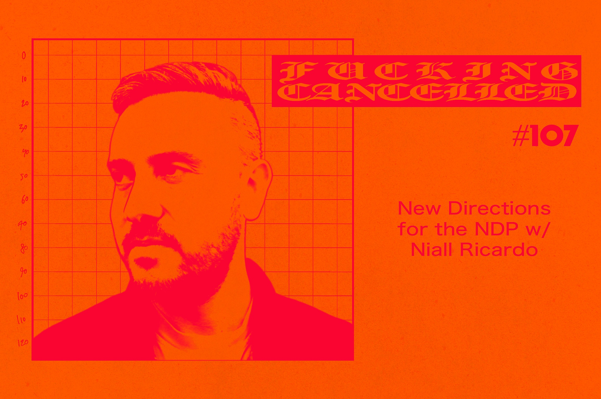 New Directions for the NDP with Niall Ricardo