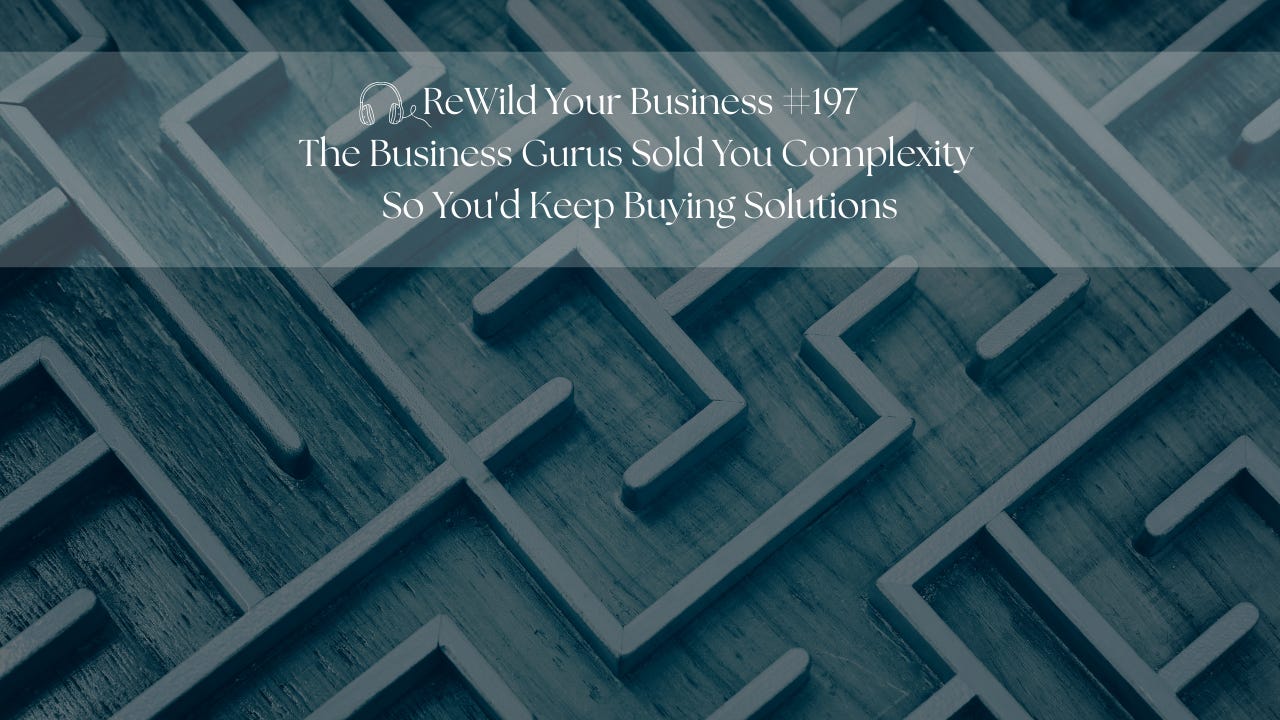 #197 - The Business Gurus Sold You Complexity So You'd Keep Buying Solutions - Here's What You Actually Need