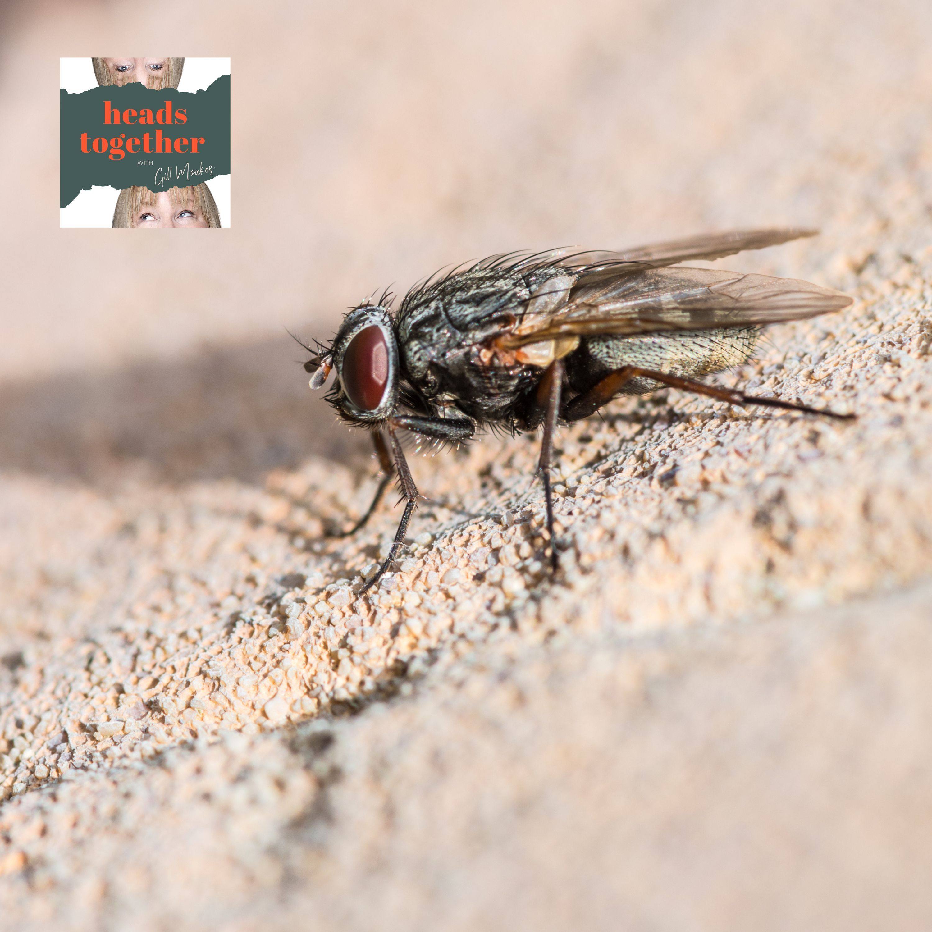 #092 - Fly on the Wall Look At My Planning For 2024 episode artwork