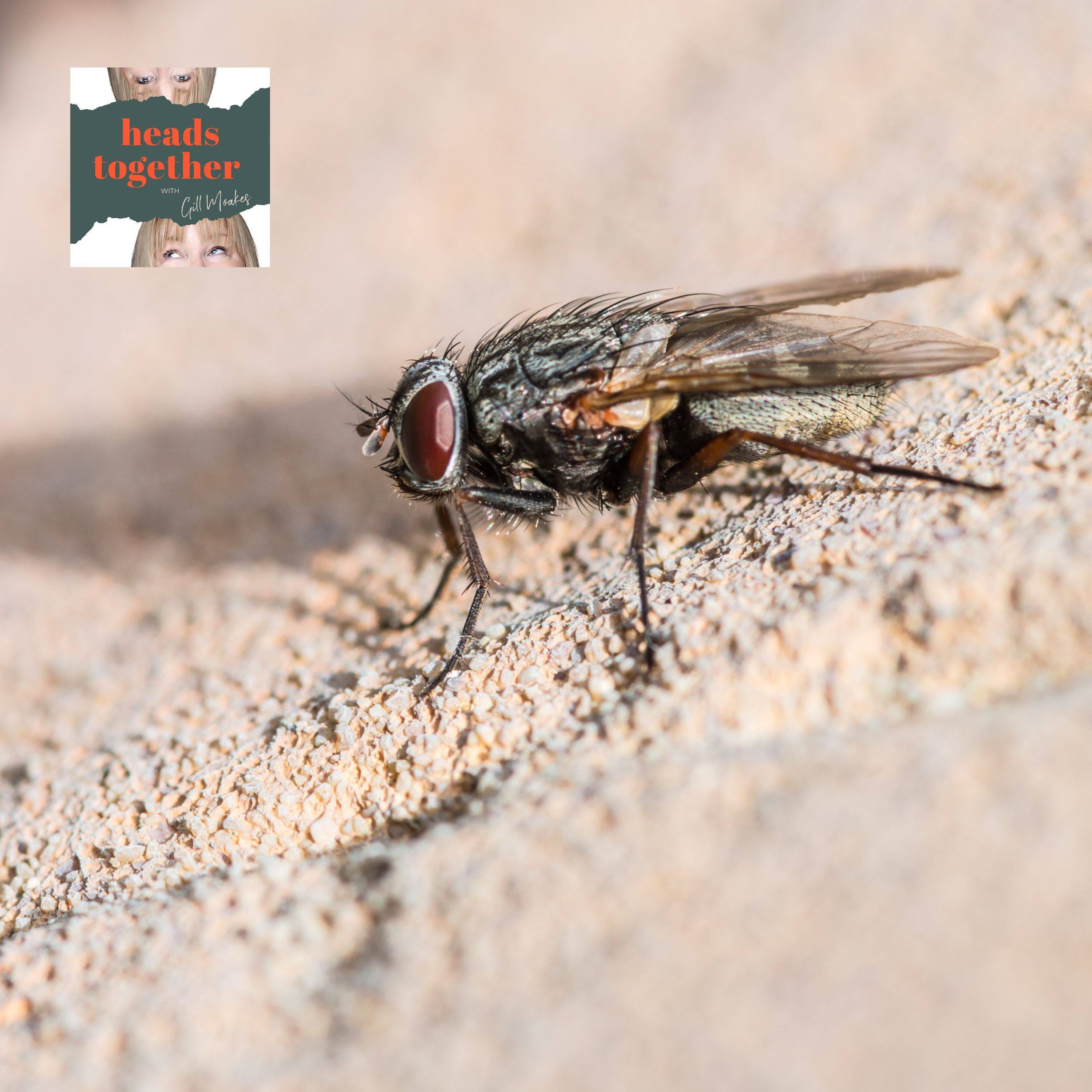 #092 - Fly on the Wall Look At My Planning For 2024 episode artwork