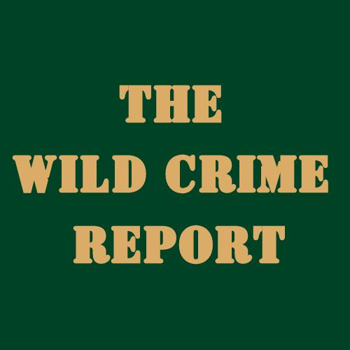 Welcome to the Wild Crime Report Podcast episode artwork