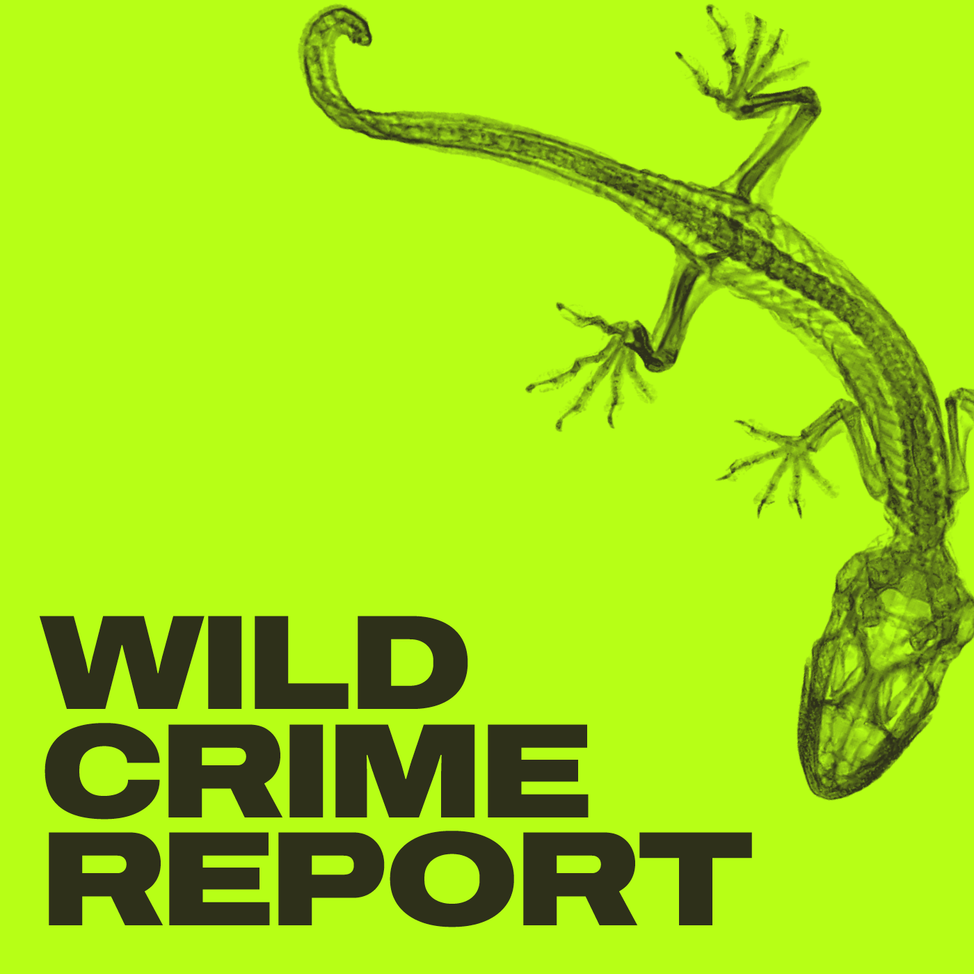 The Wild Crime Report for Monday 1 April 2024