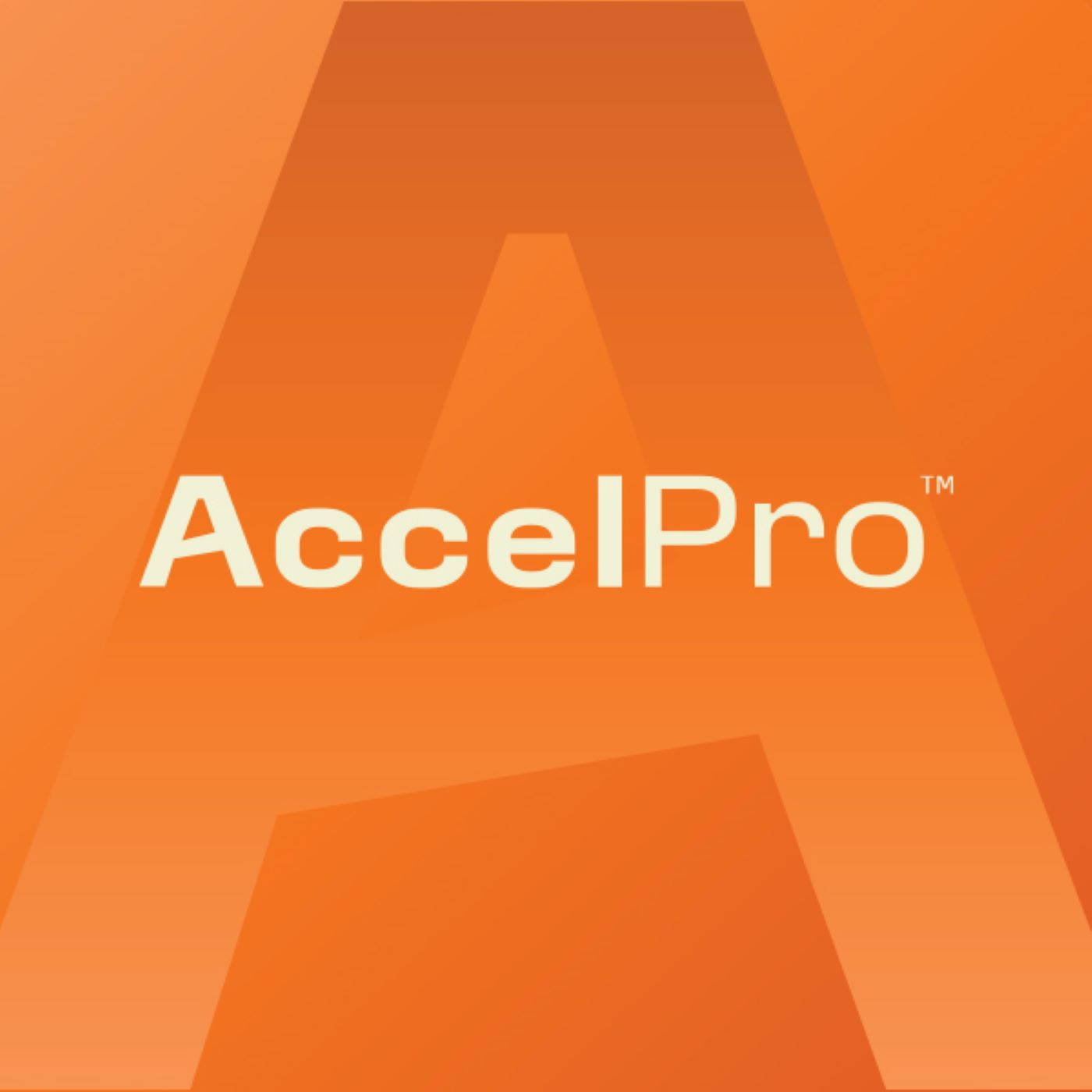 AccelPro | Employment Law