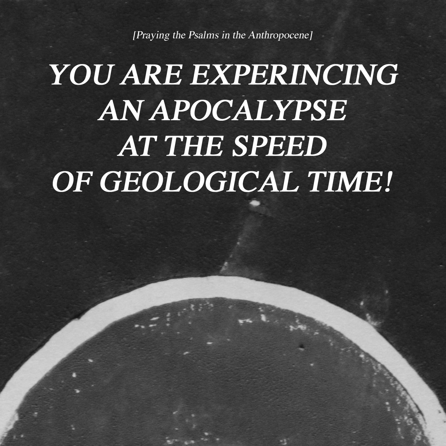 Praying the Psalms in the Anthropocene Praying the Psalms in the Anthropocene