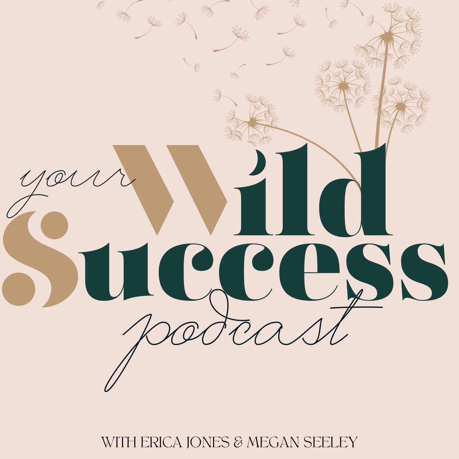 Your Wild Success Podcast podcast artwork