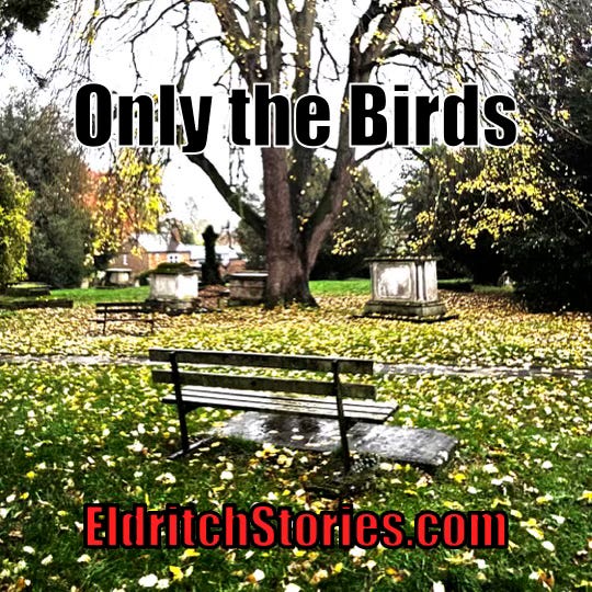 Only the Birds (S02E12) Only the Birds (S02E12)