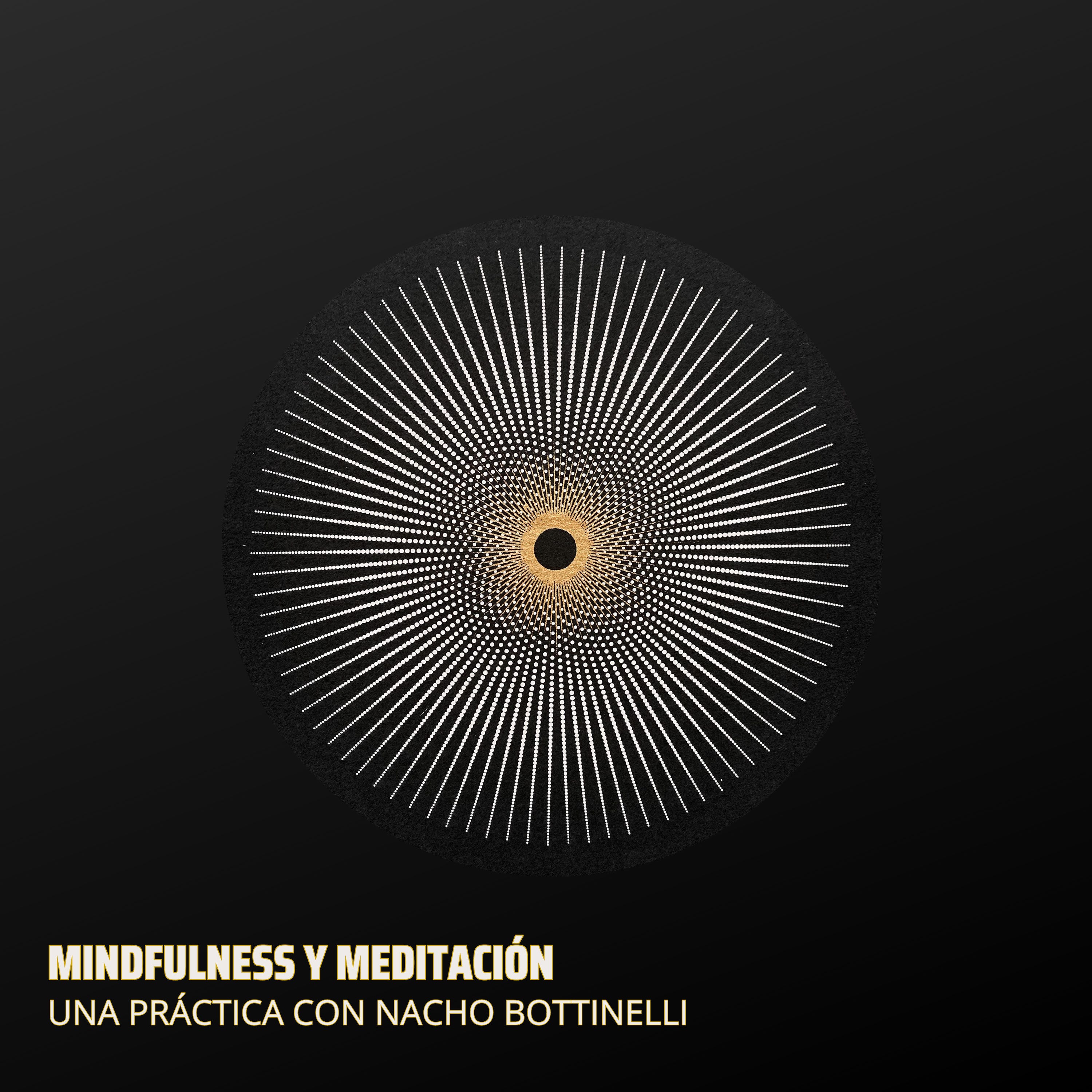#25 - Meditación de Contemplación