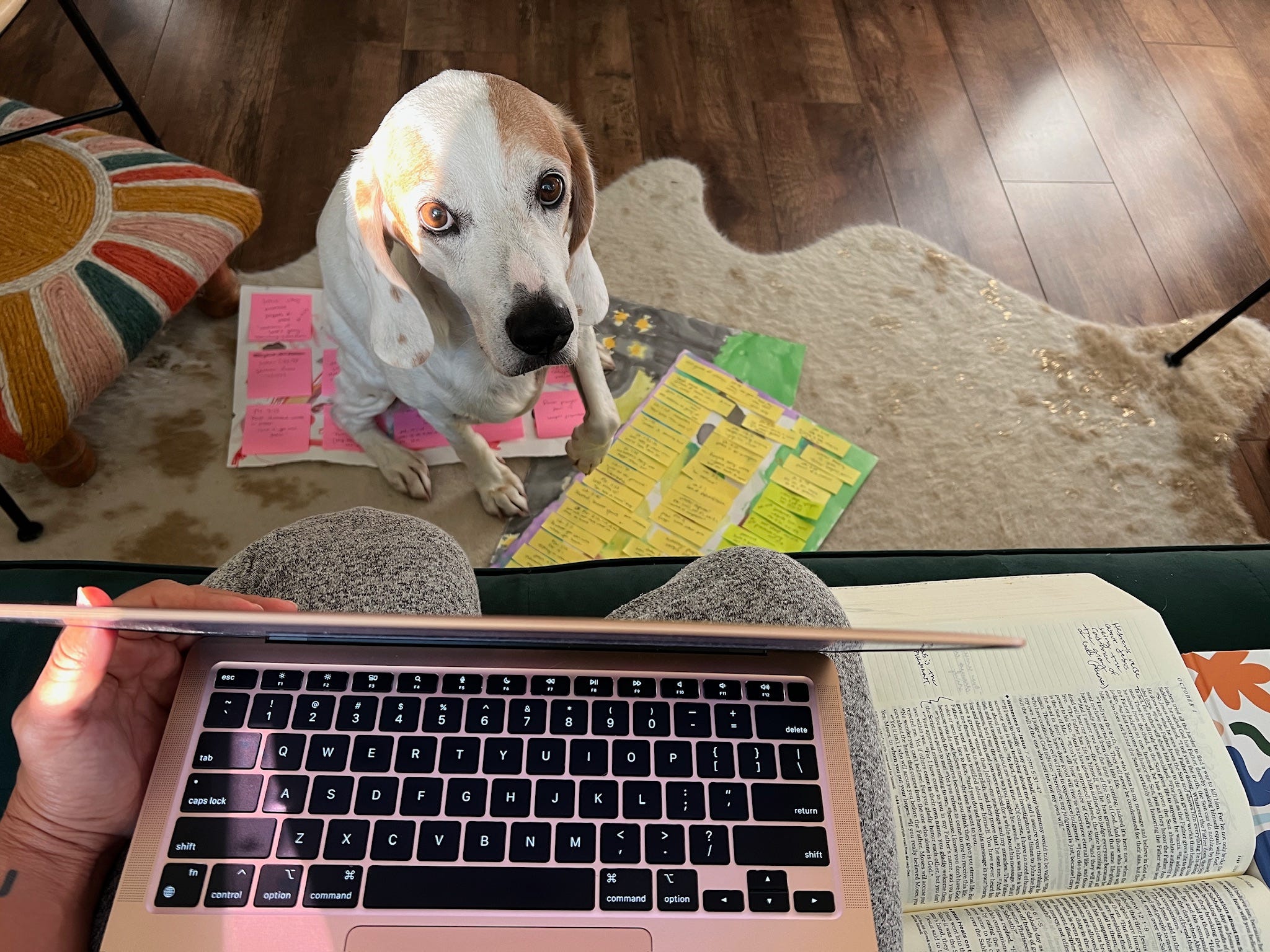 The Asha June, Oh! Report